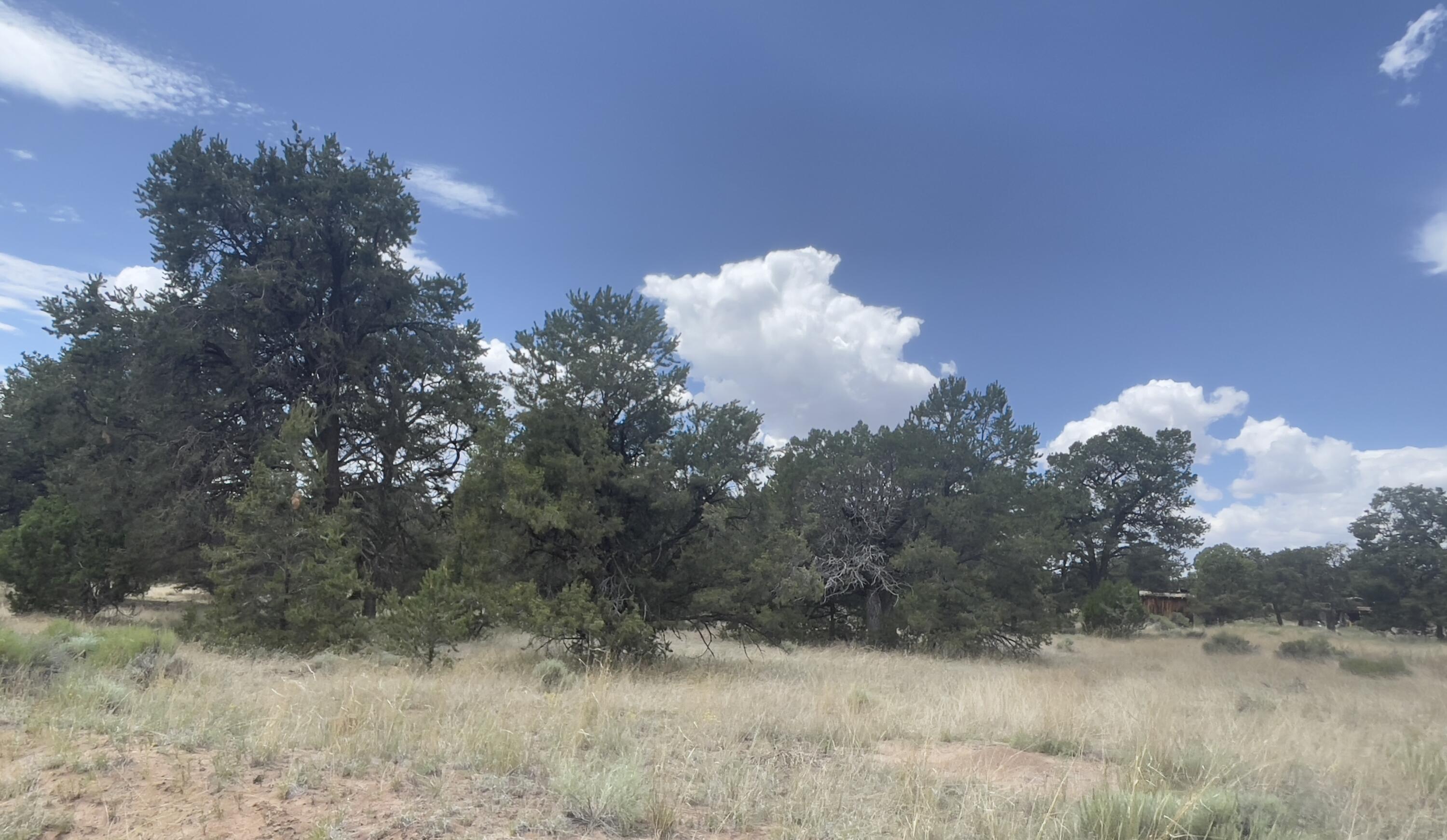 Tract 2-B W Bar Road