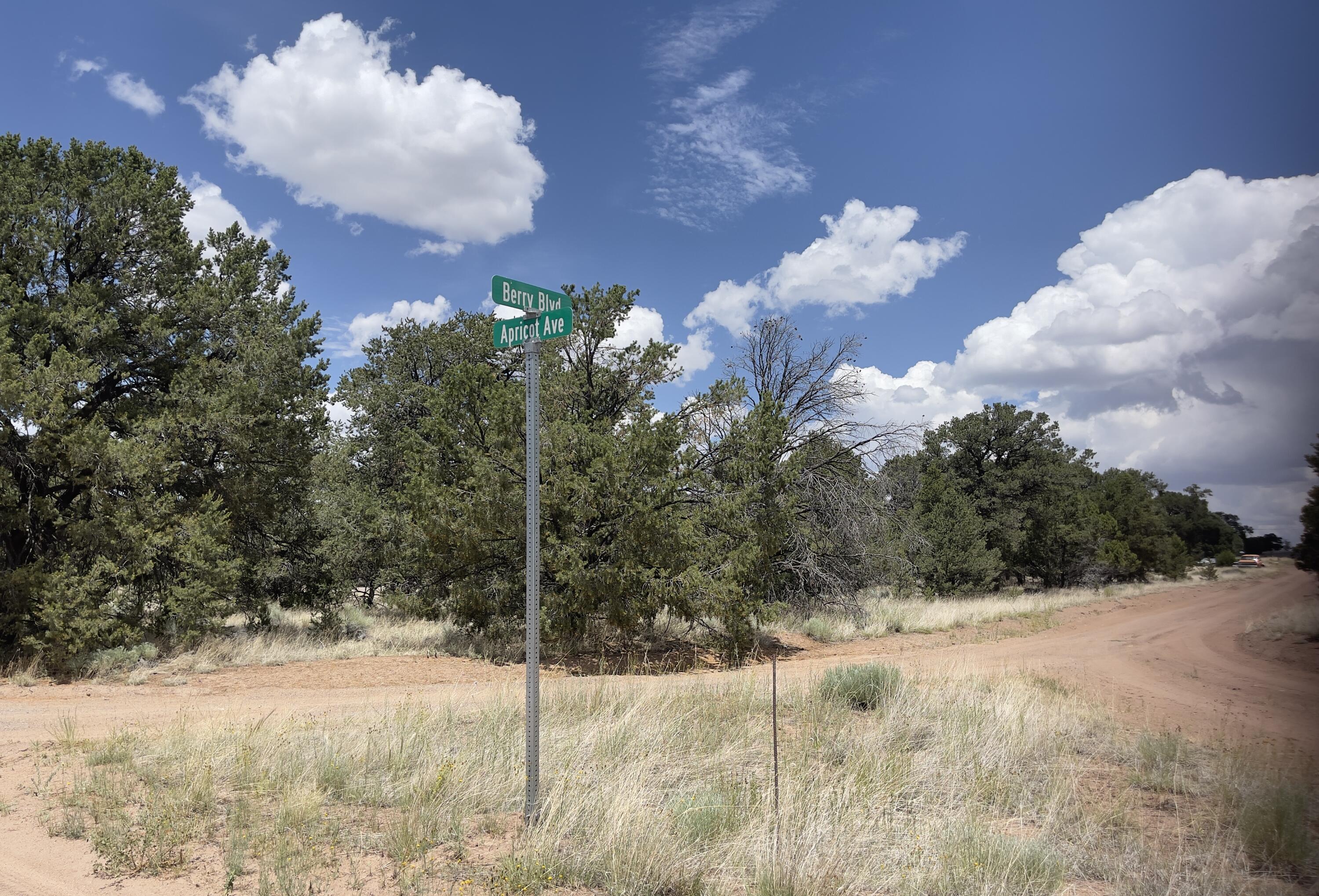 Tract 2-B W Bar Road