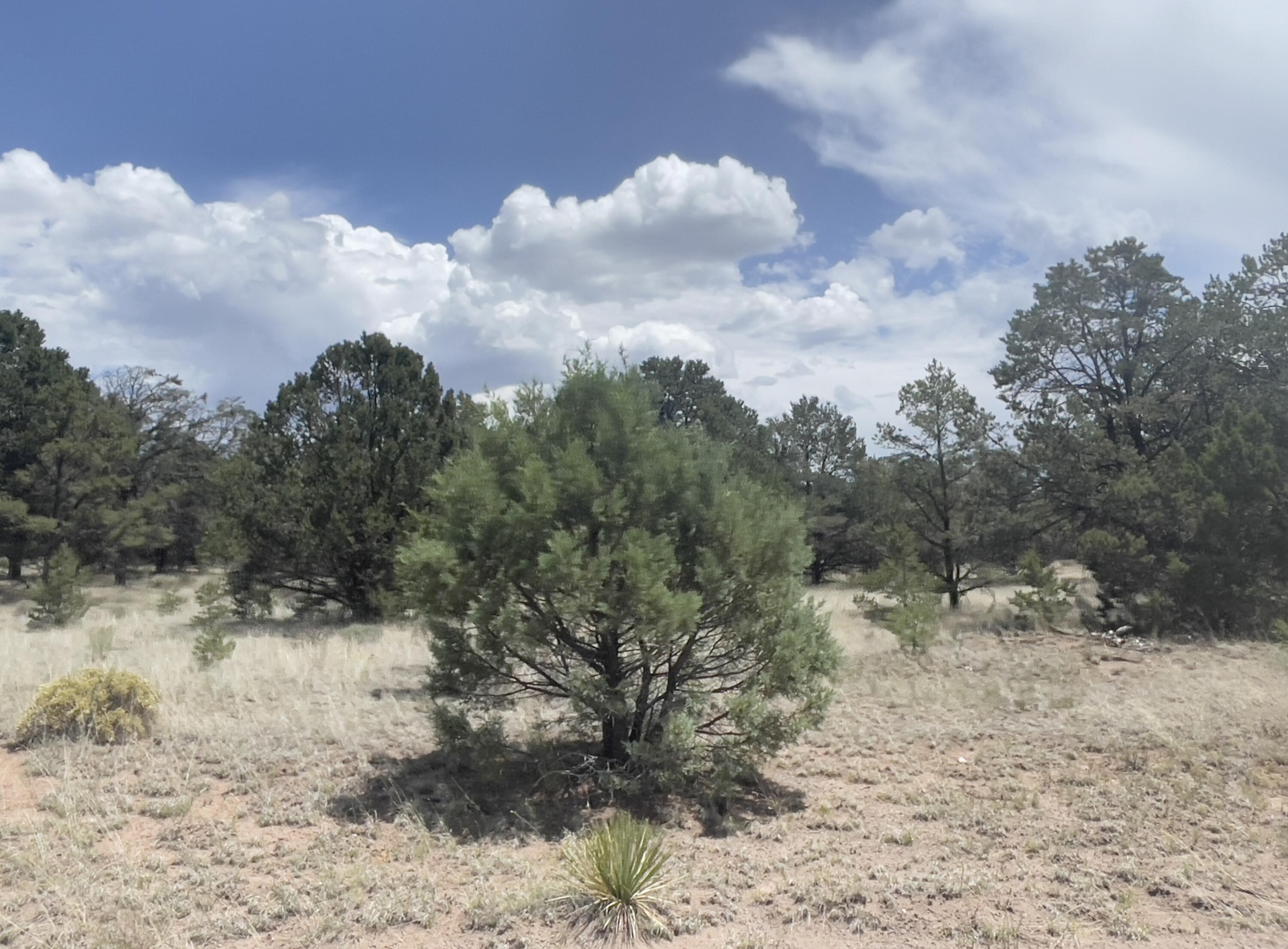 Tract 2-B W Bar Road