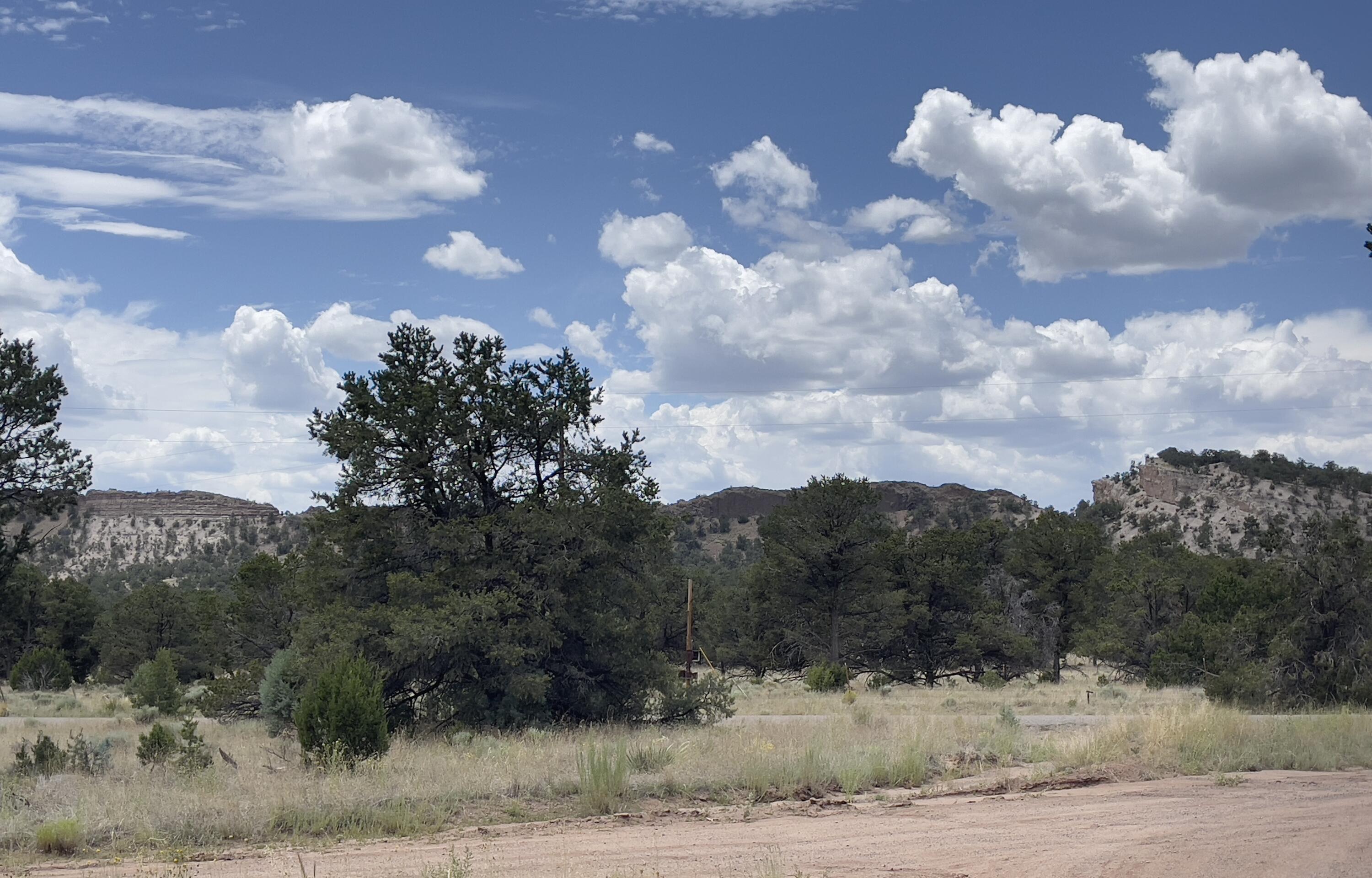 Tract 2-B W Bar Road
