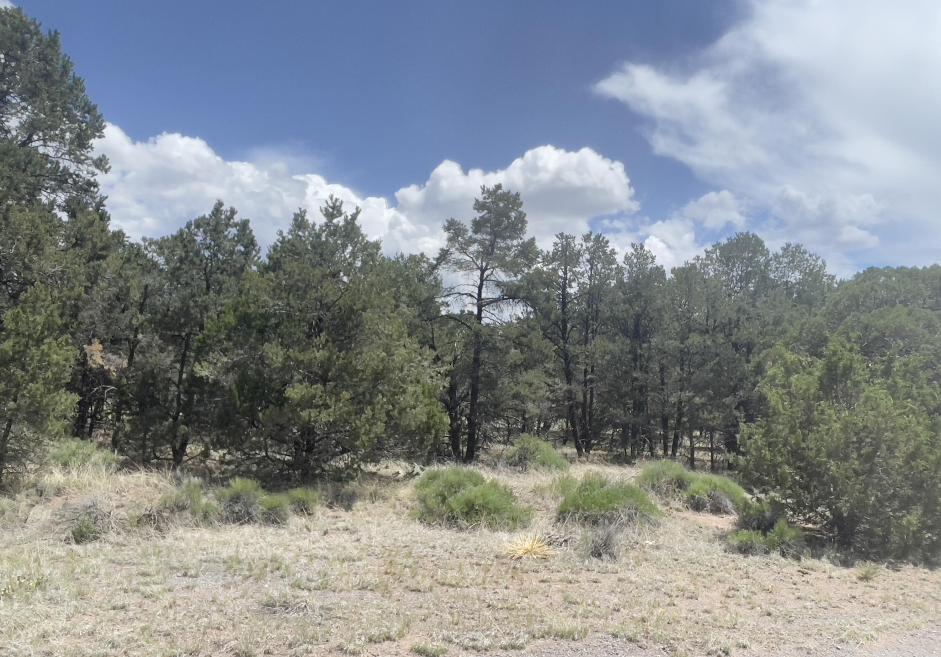 Tract 2-B W Bar Road