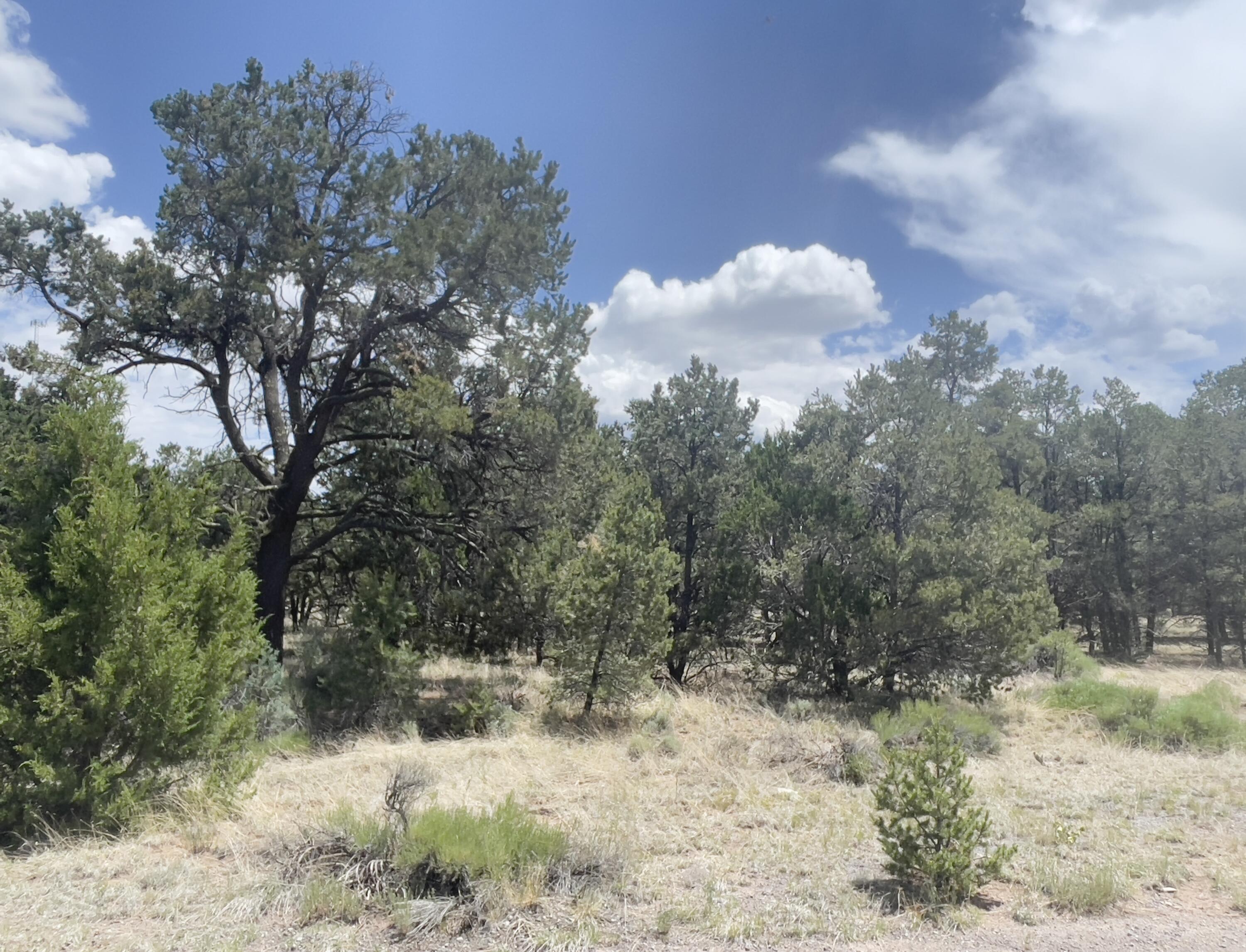 Tract 2-B W Bar Road