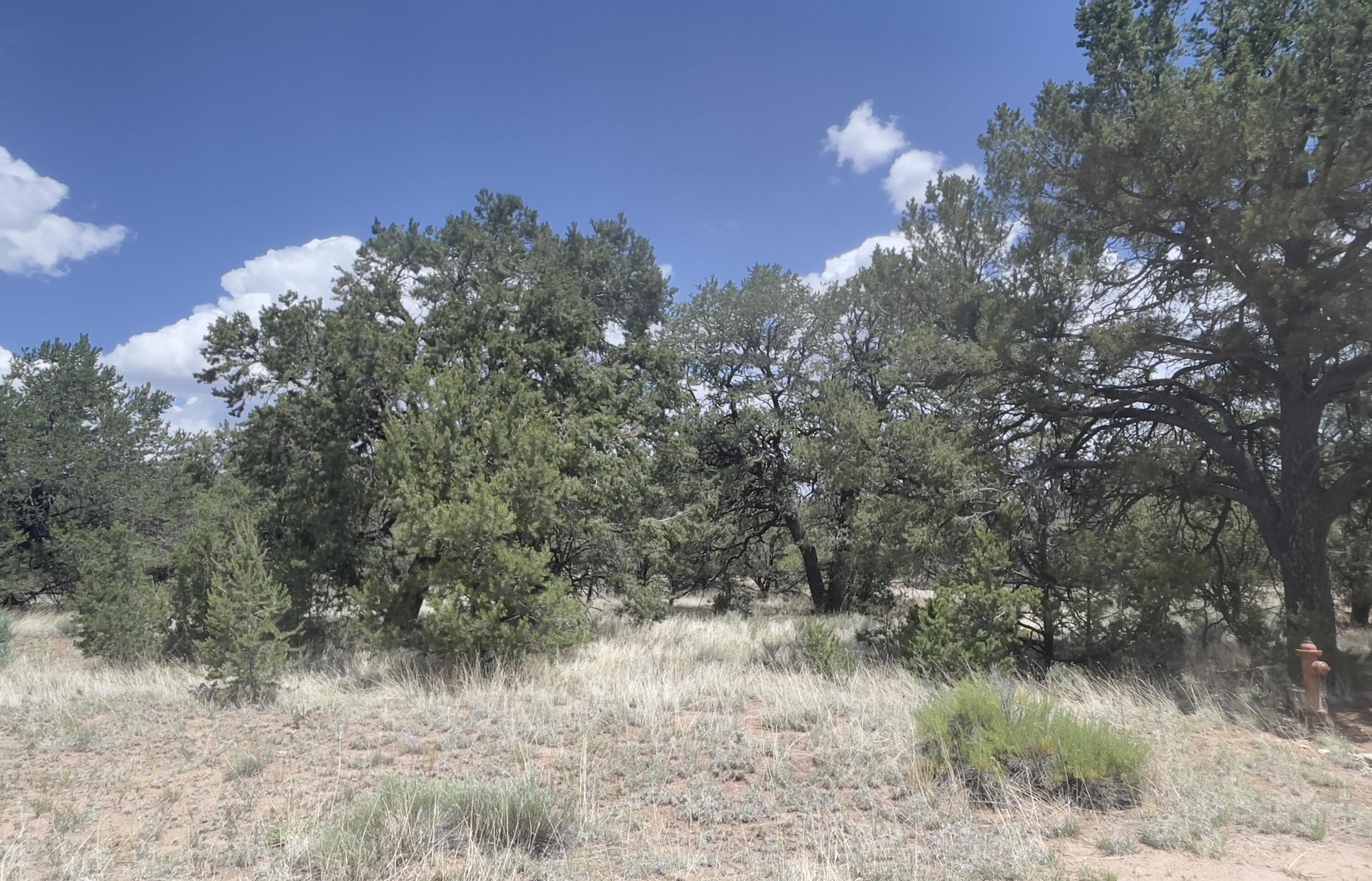 Tract 2-B W Bar Road