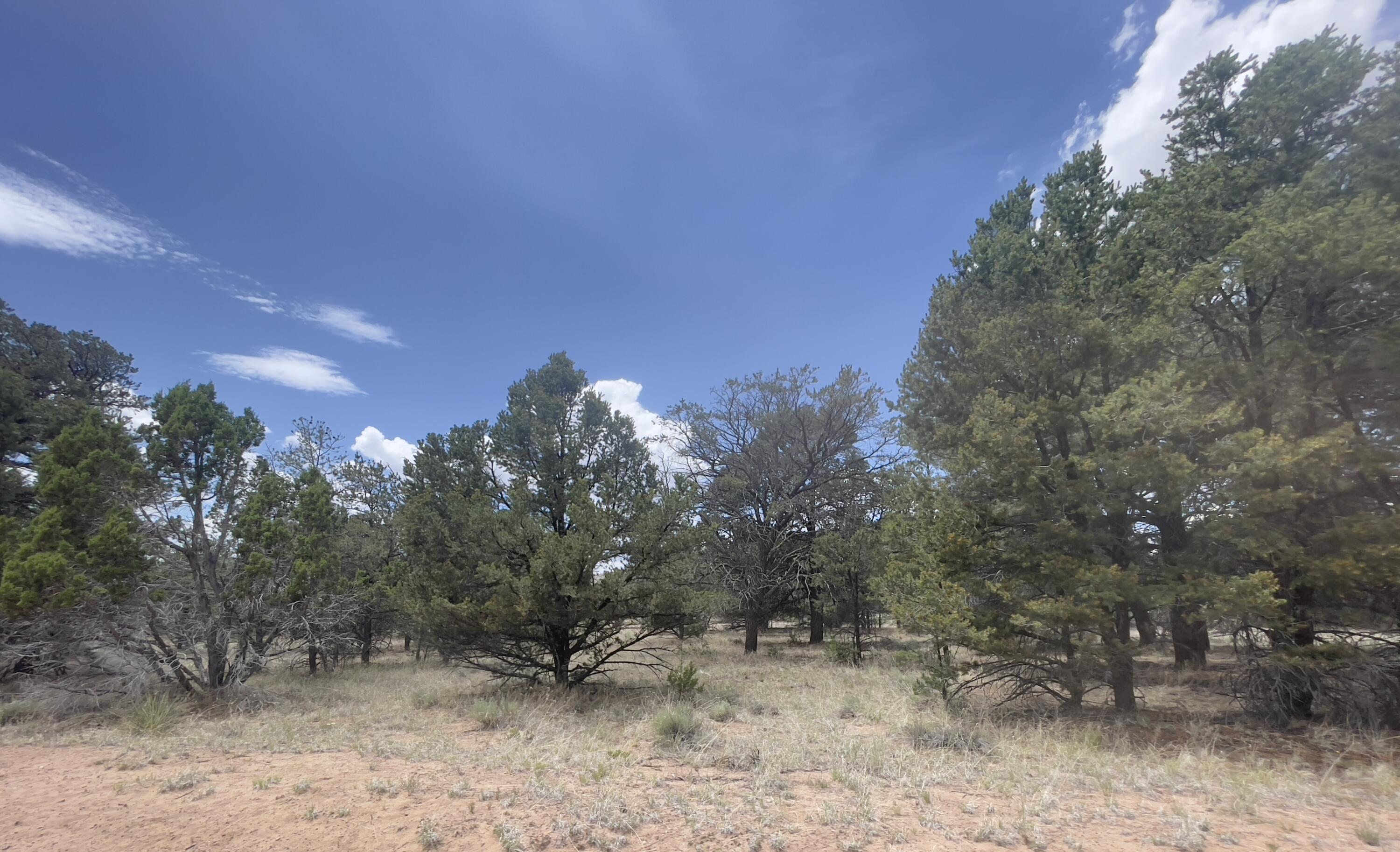 Tract 2-B W Bar Road