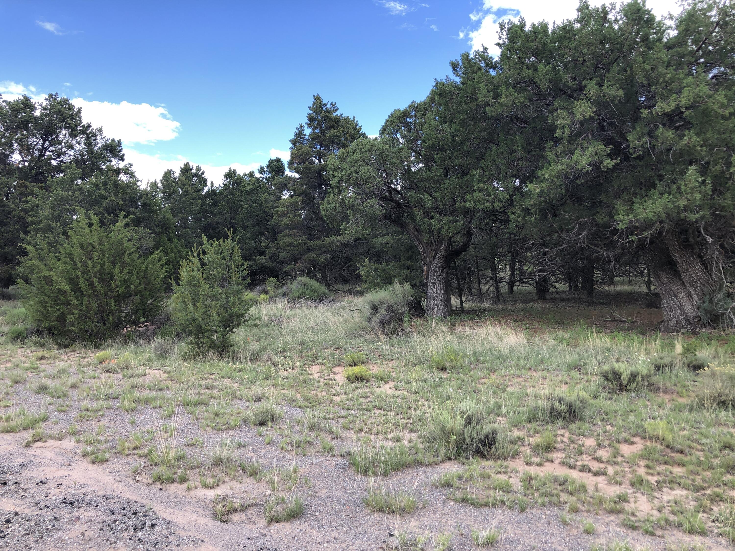 Tract 3-A W Bar Road