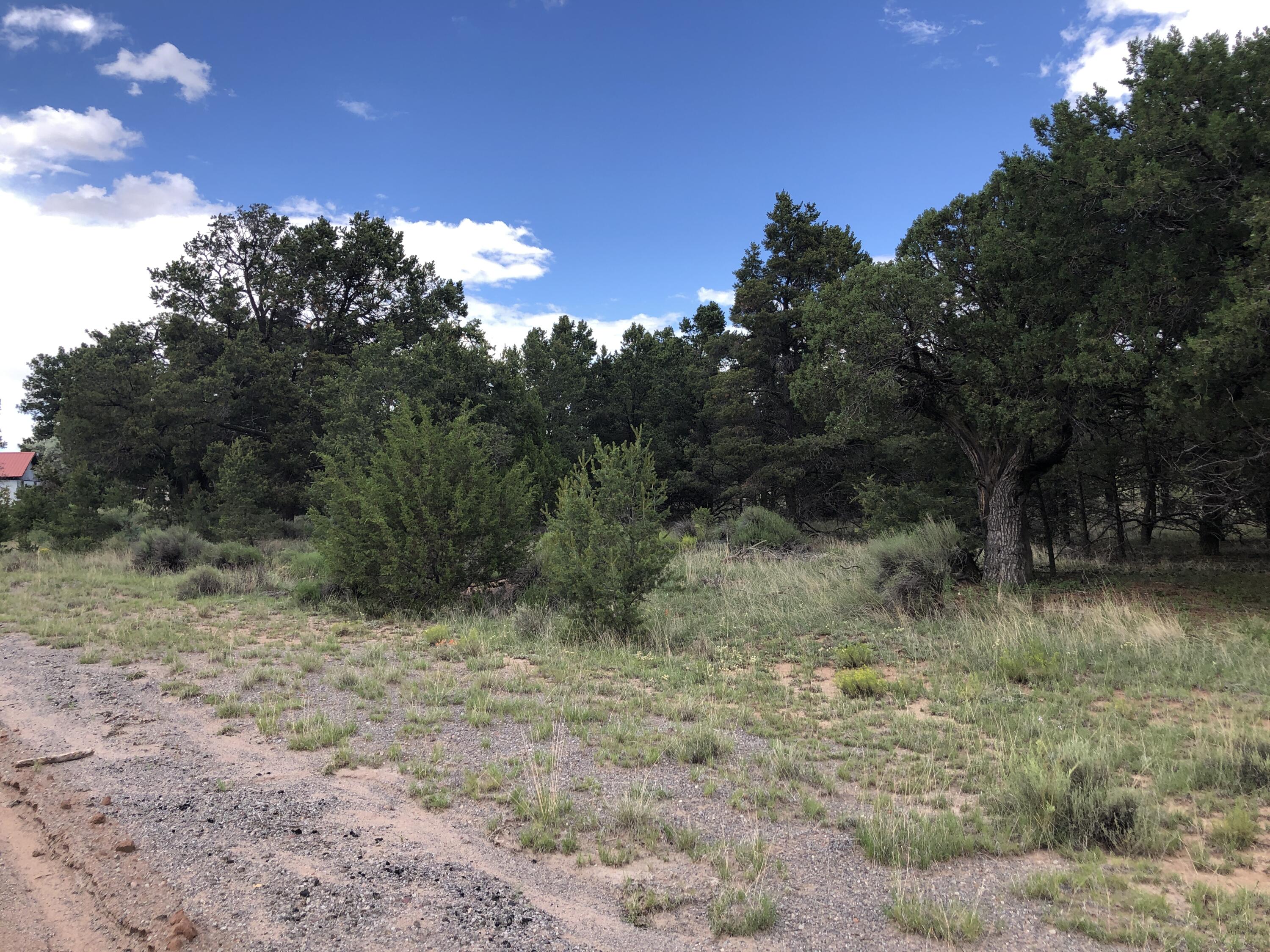 Tract 3-A W Bar Road