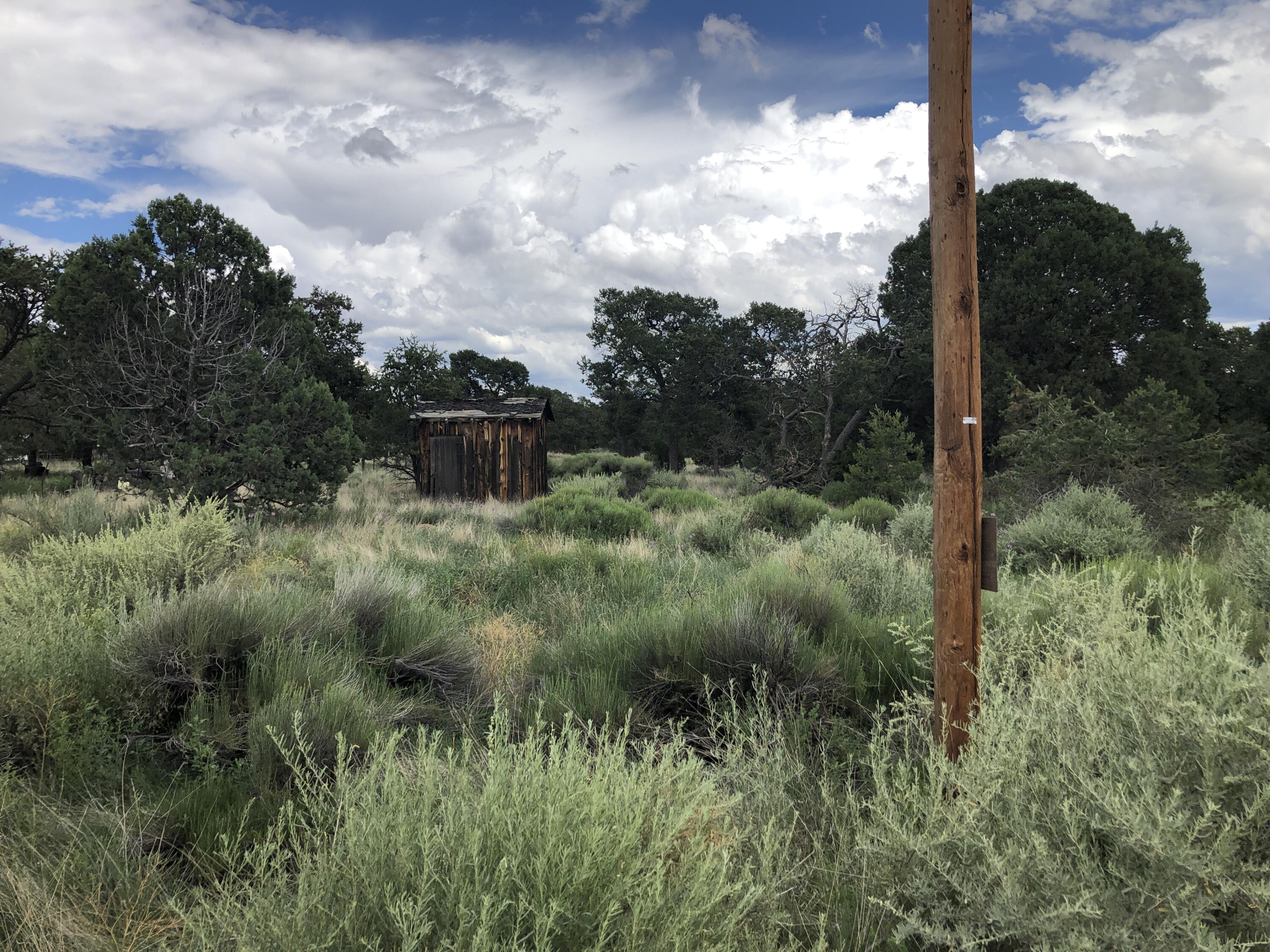 Tract 3-A W Bar Road