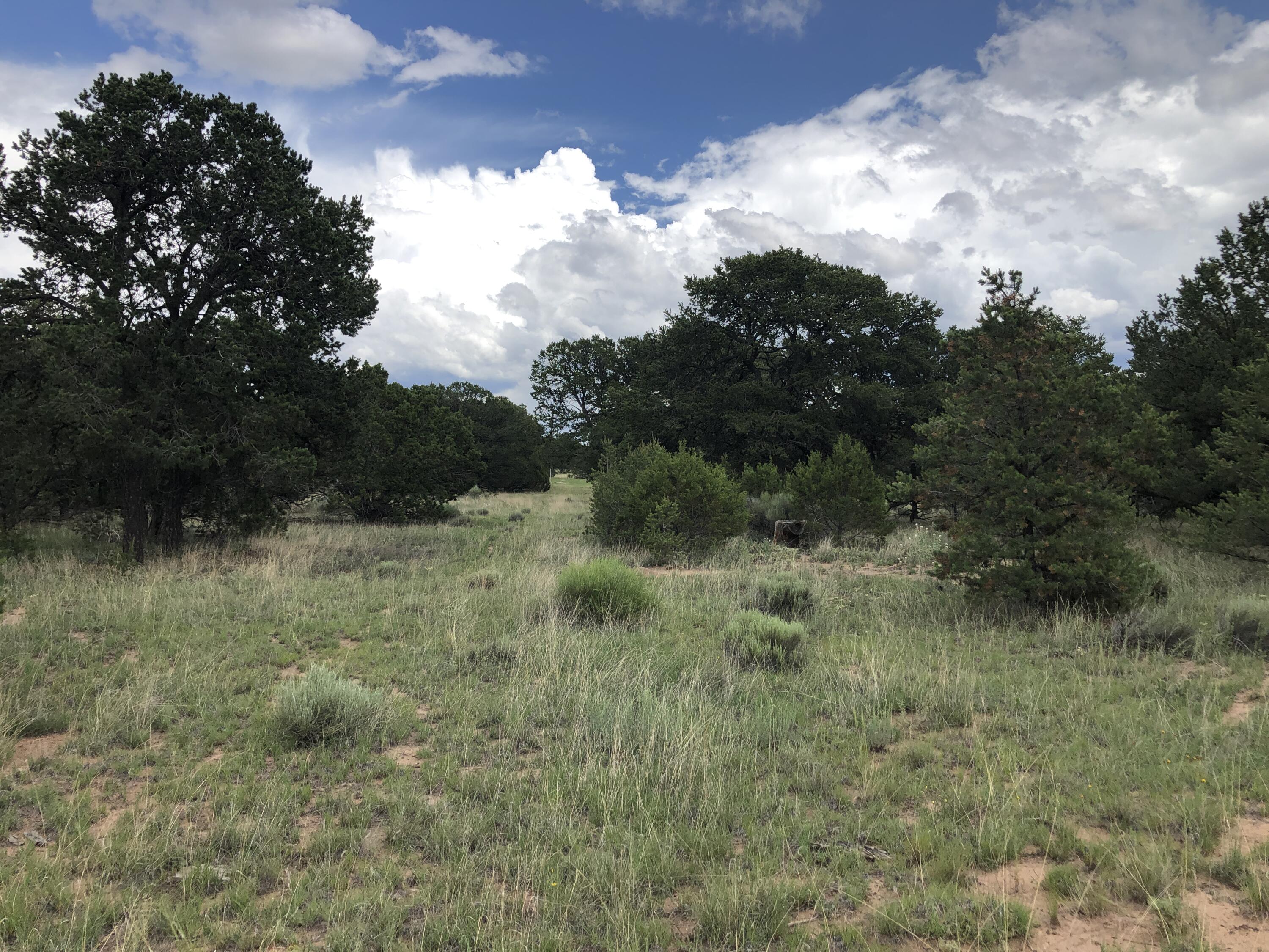 Tract 3-A W Bar Road