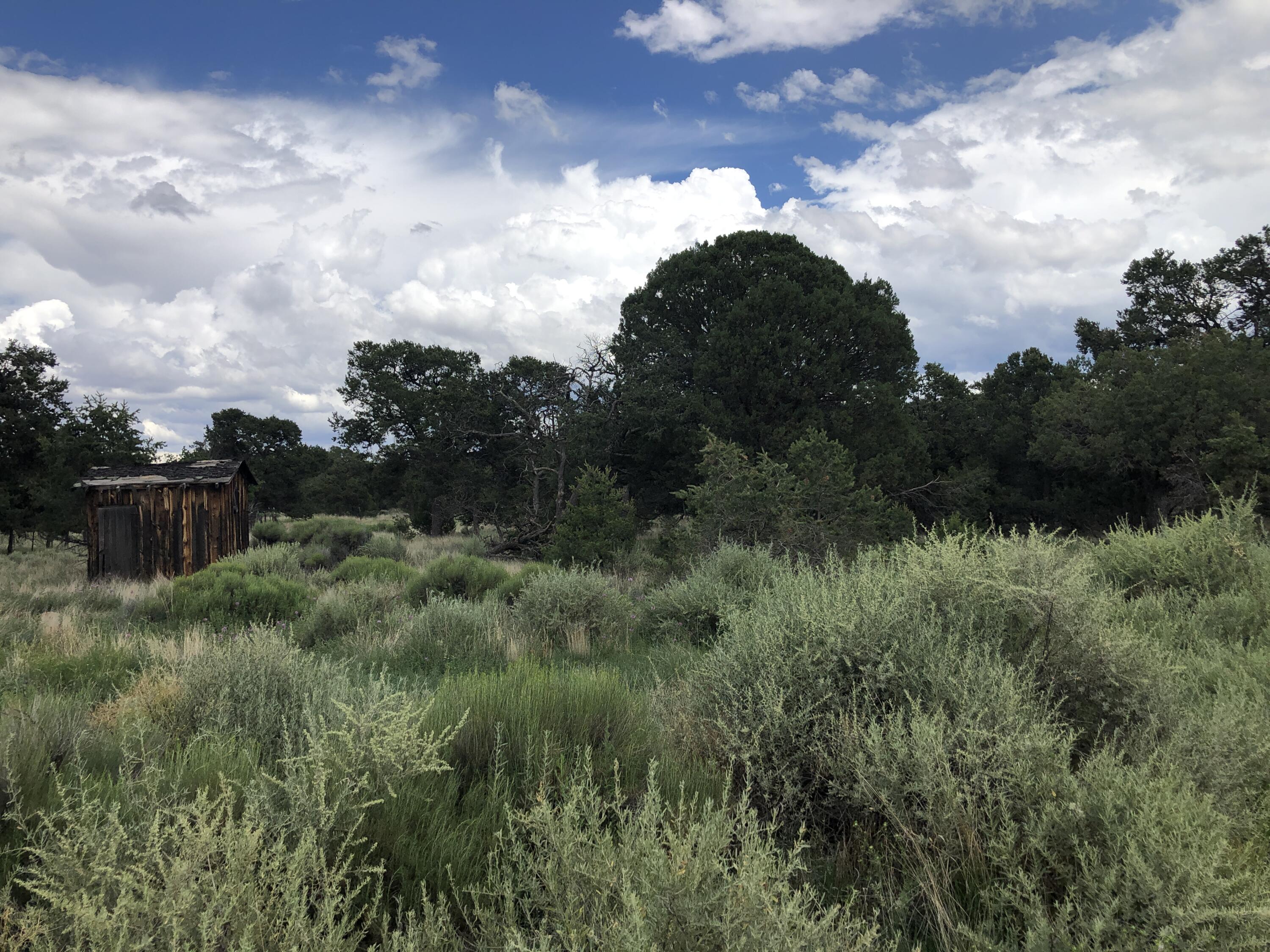 Tract 3-A W Bar Road