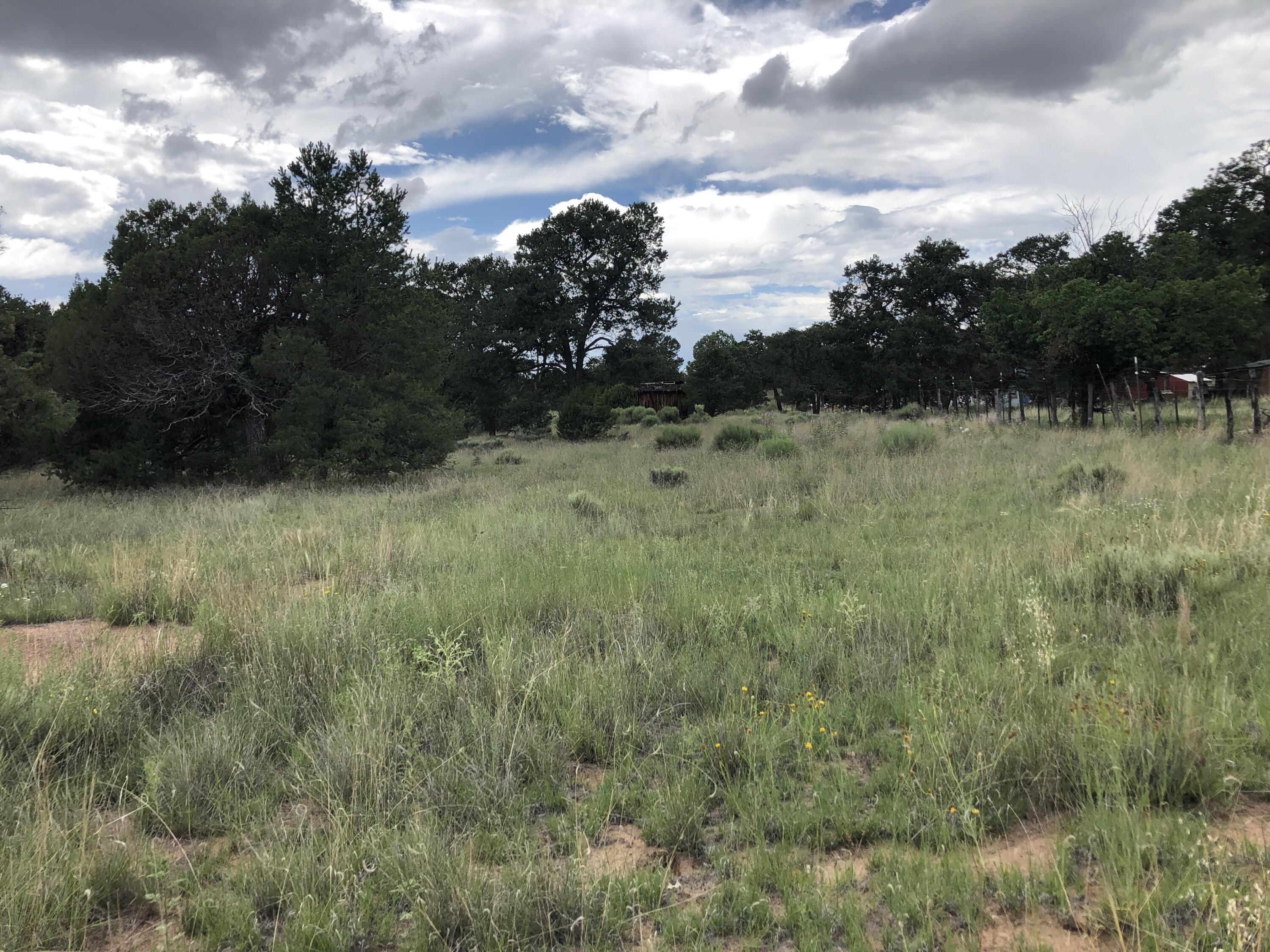 Tract 3-A W Bar Road