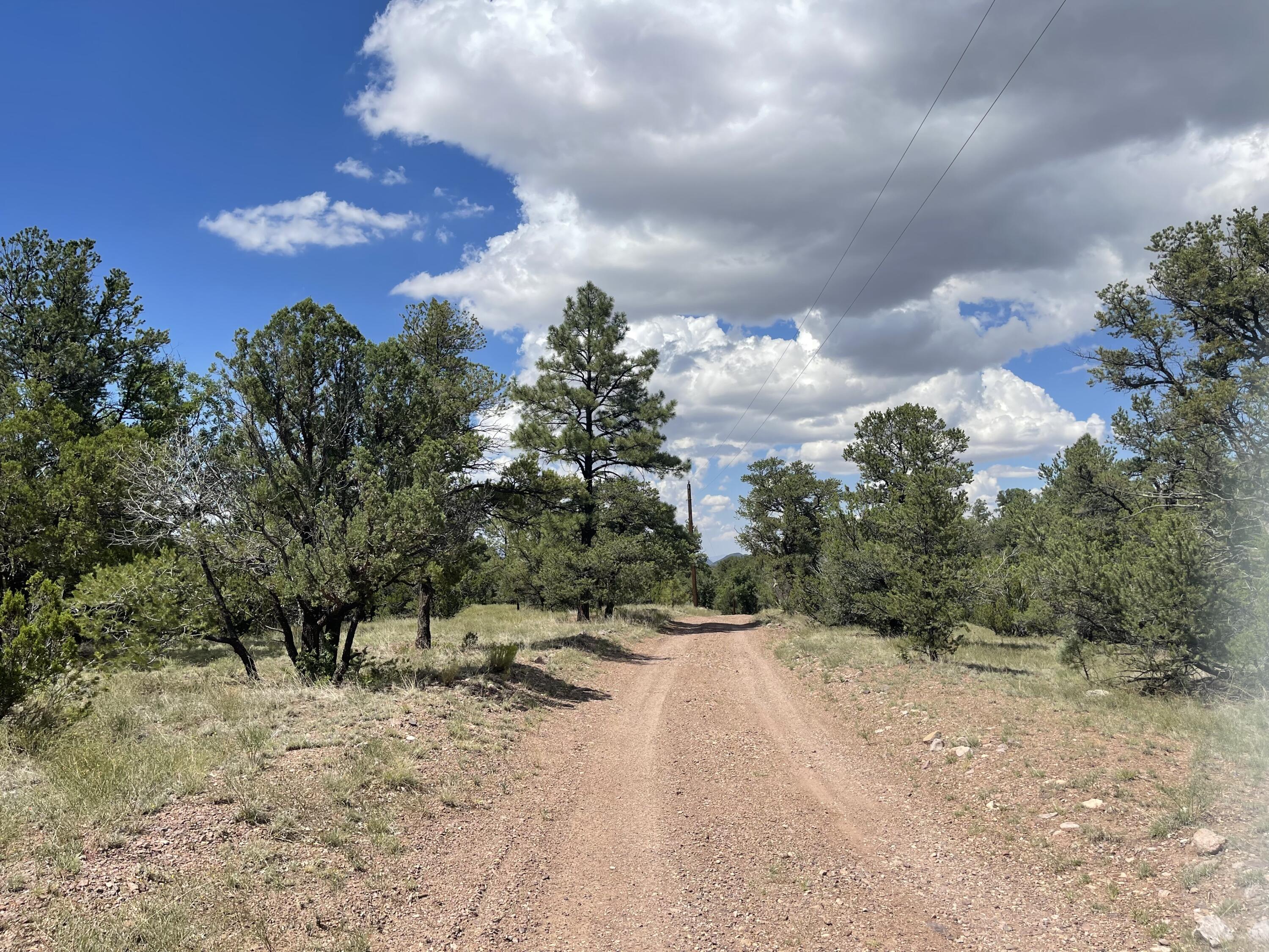 Upper Patterson Canyon