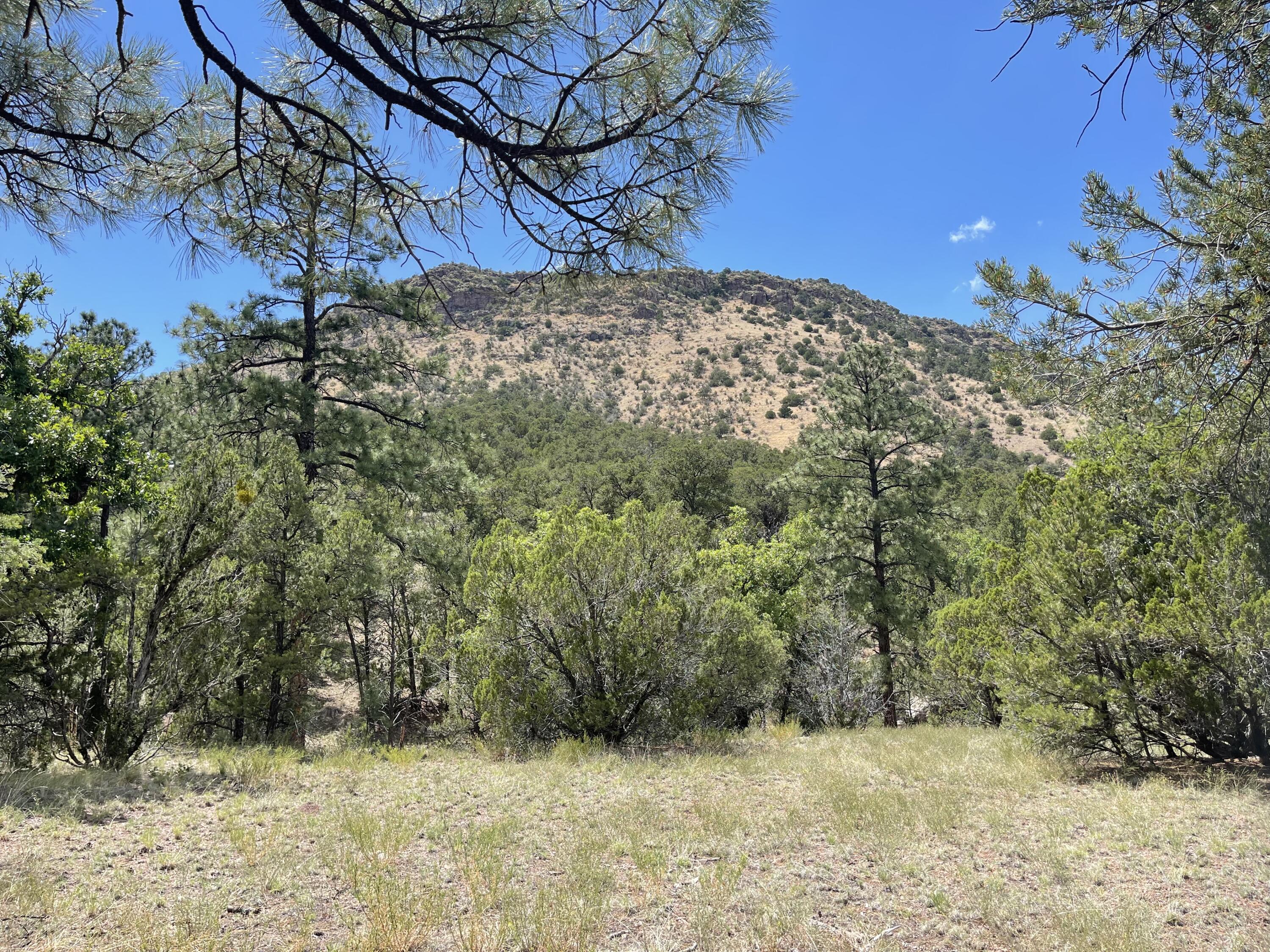 Upper Patterson Canyon