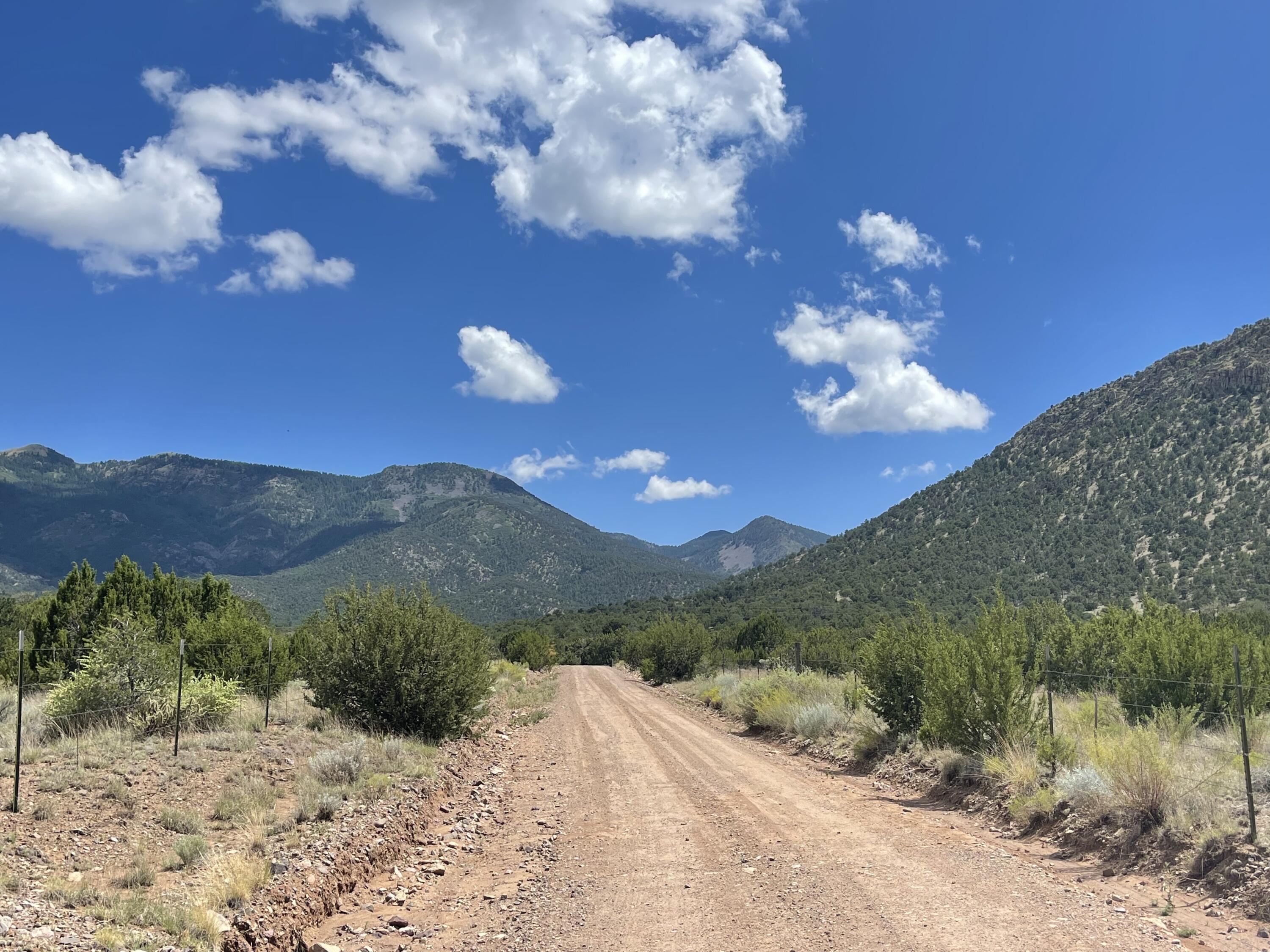 Upper Patterson Canyon