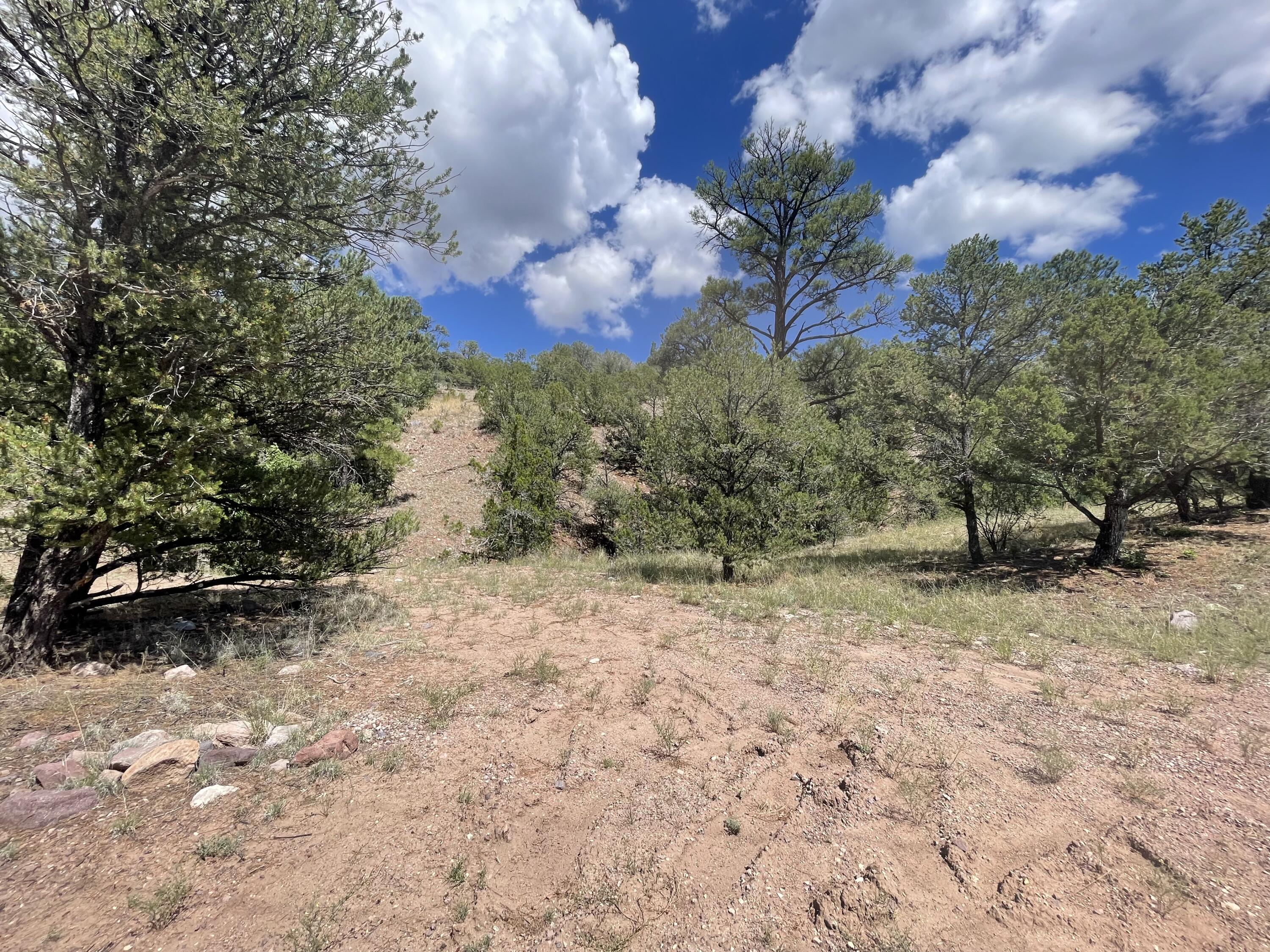 Upper Patterson Canyon