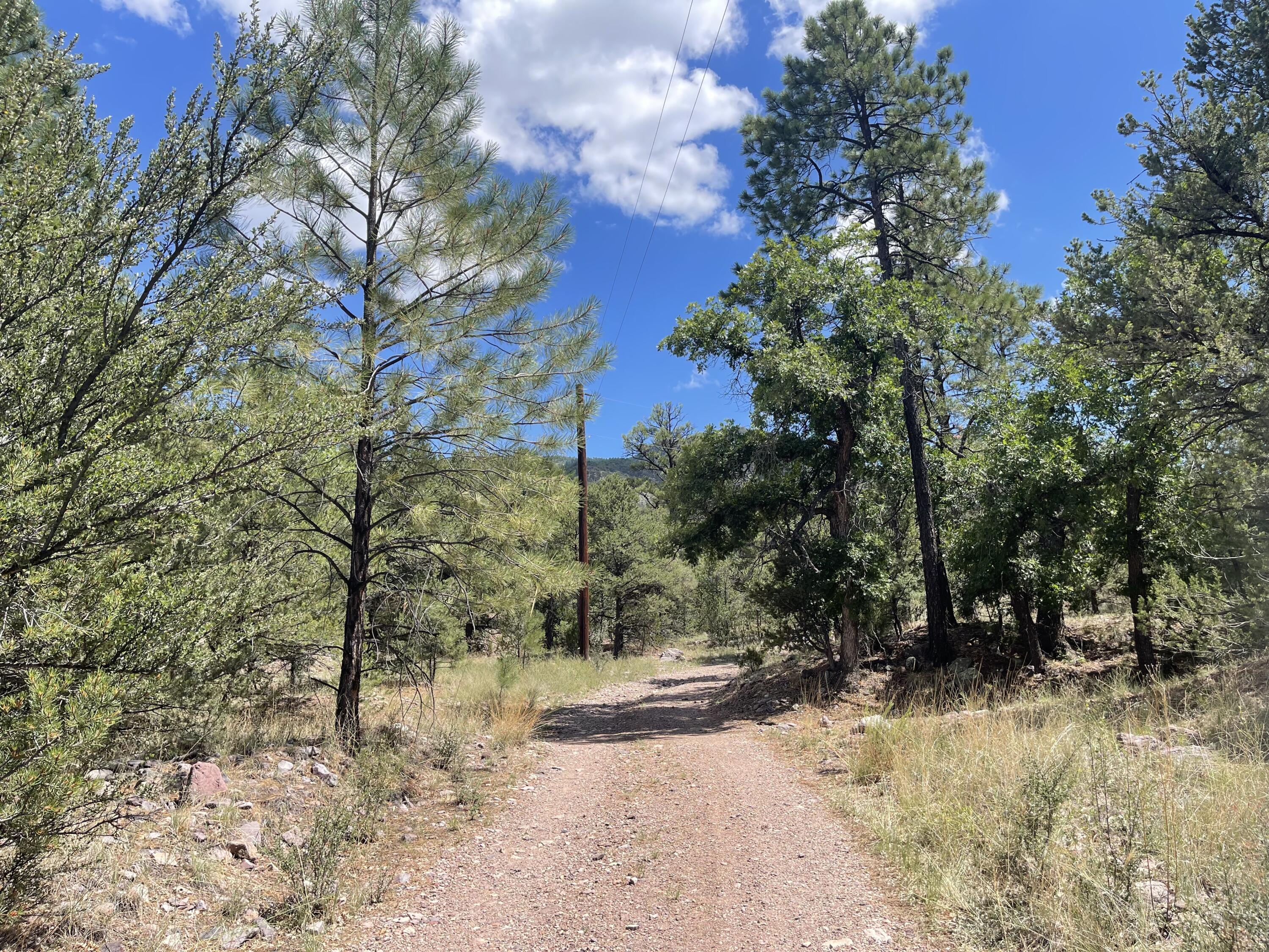 Upper Patterson Canyon