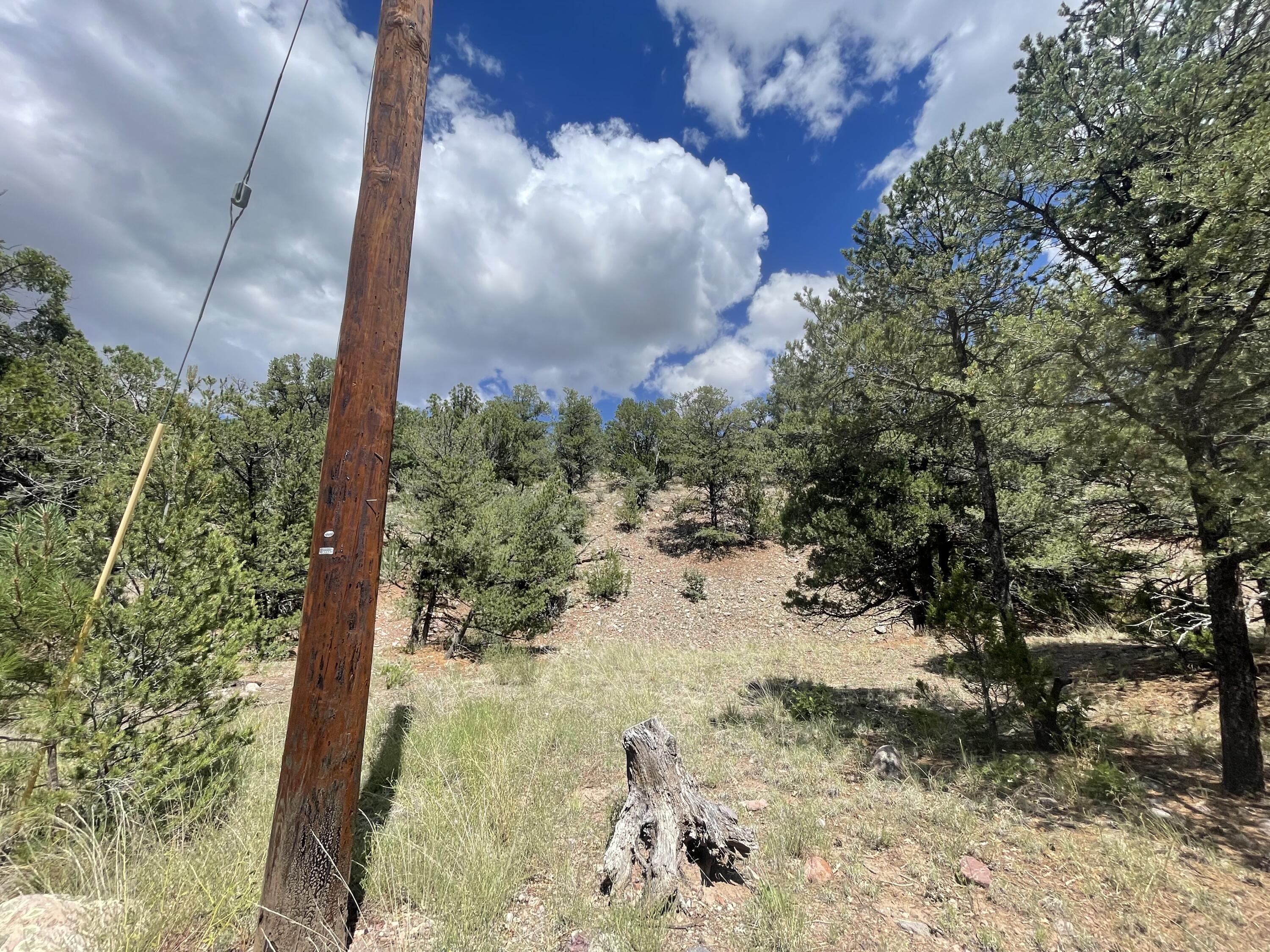 Upper Patterson Canyon