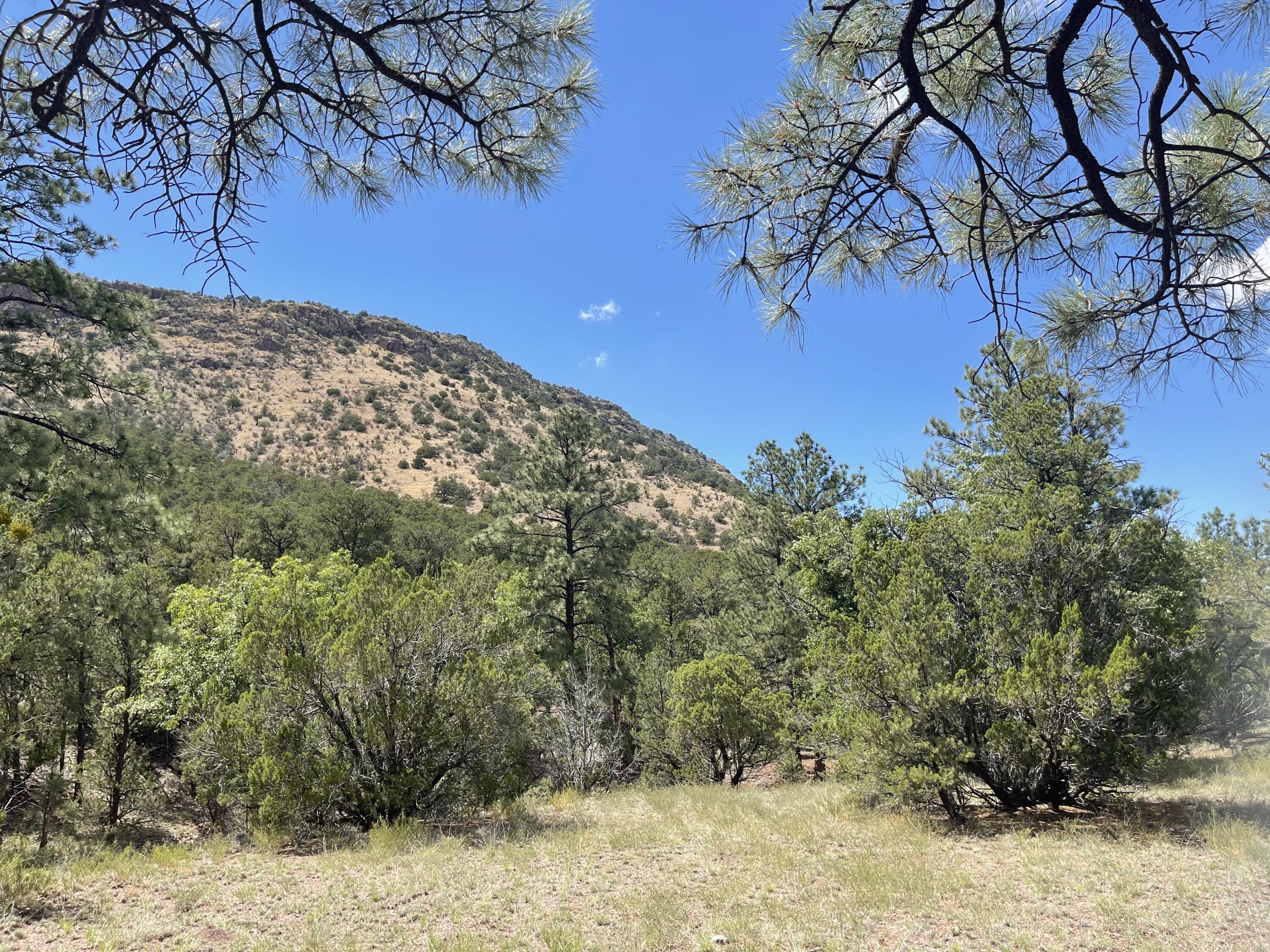 Upper Patterson Canyon
