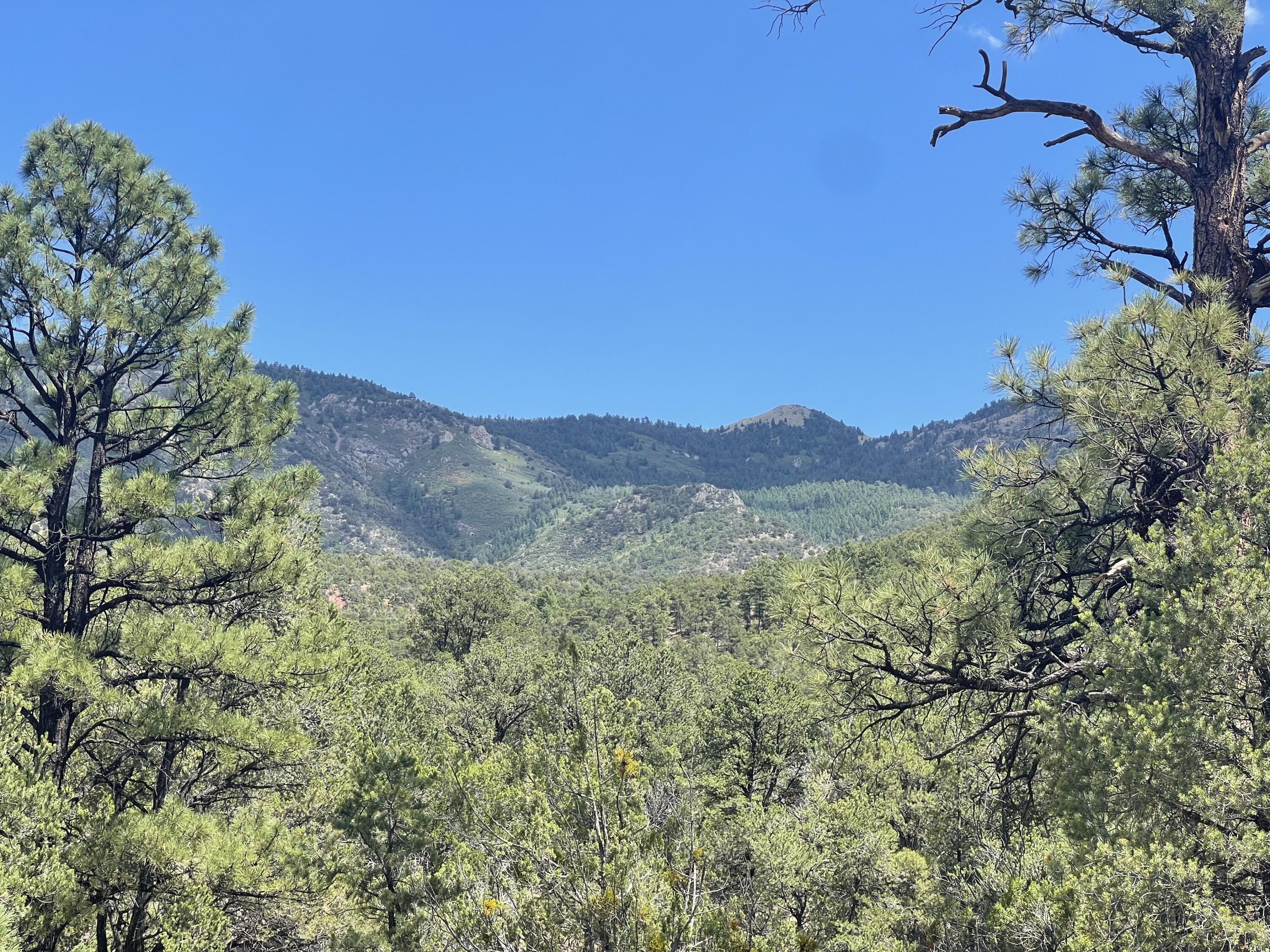 Upper Patterson Canyon