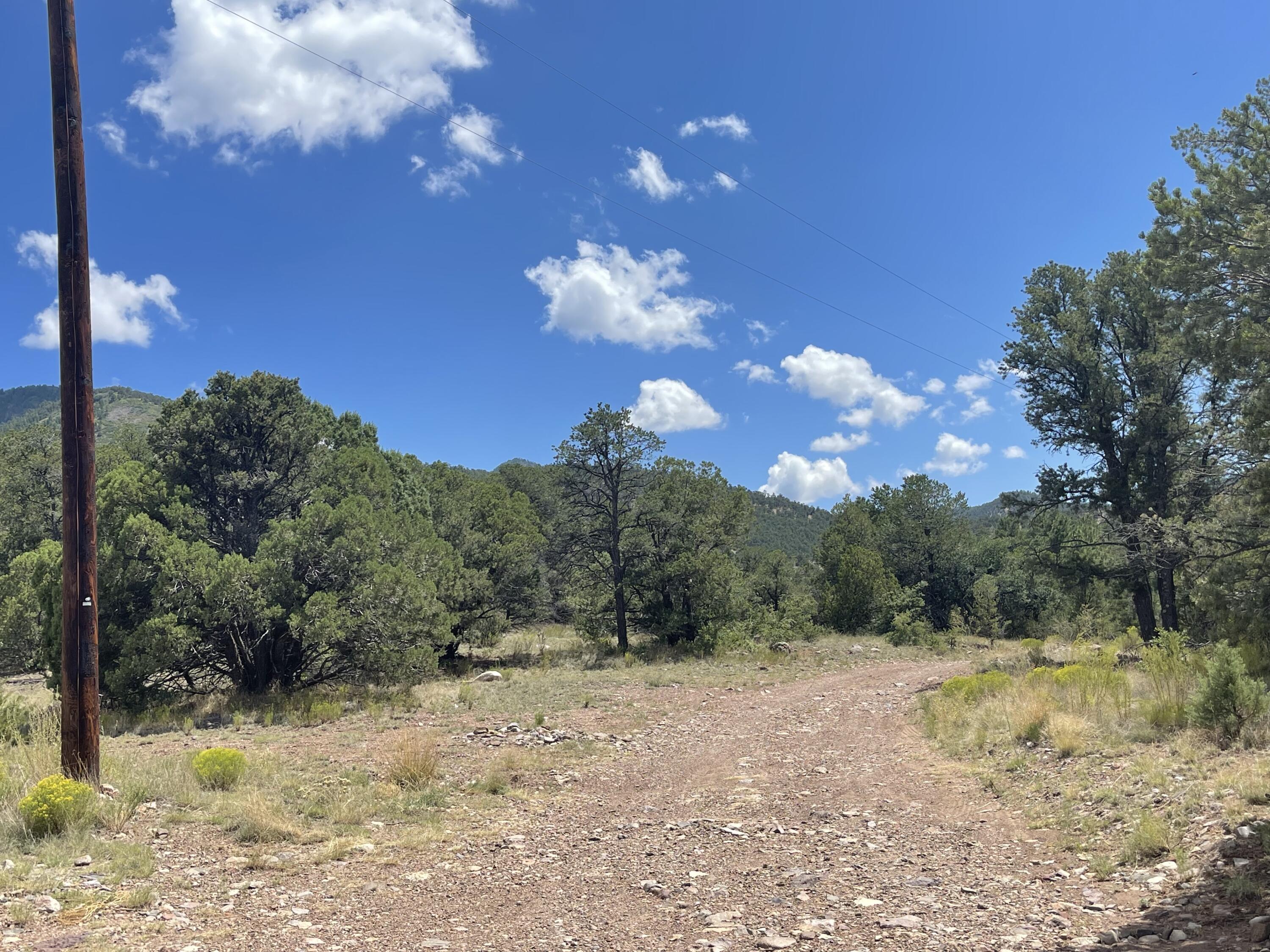 Upper Patterson Canyon
