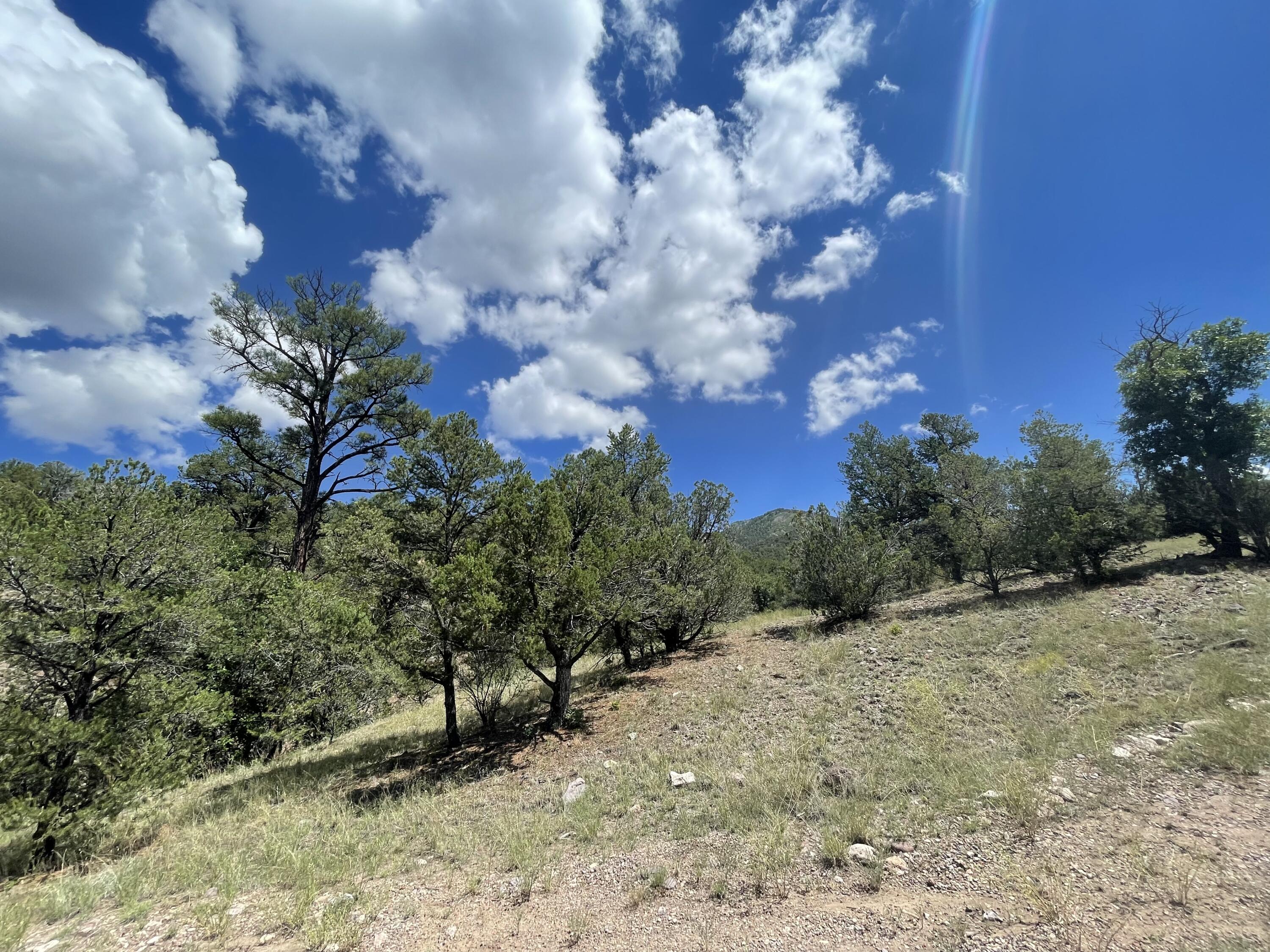 Upper Patterson Canyon
