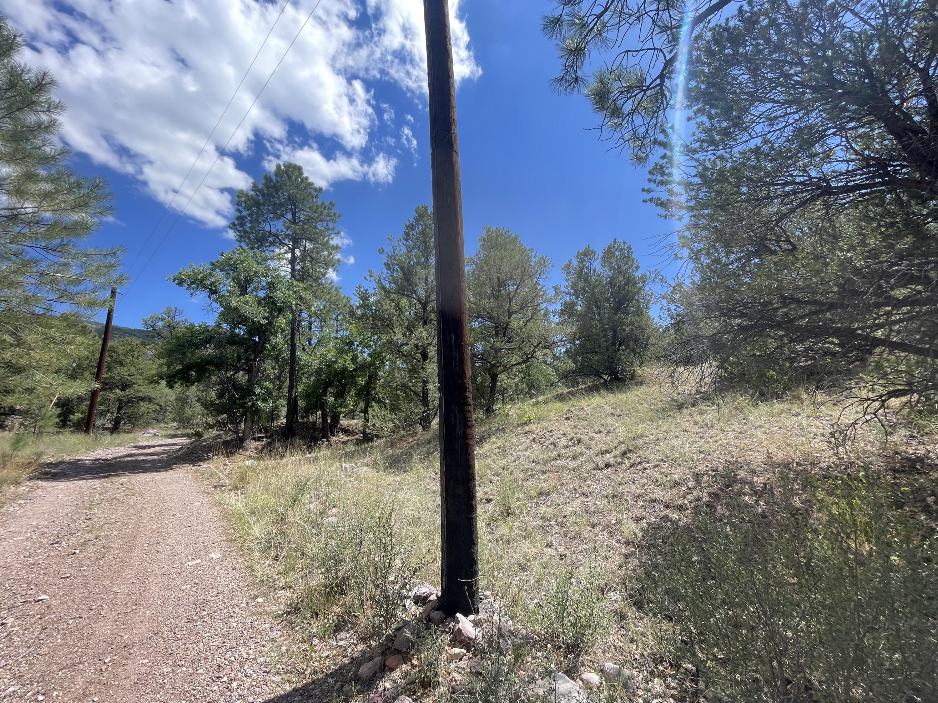 Upper Patterson Canyon