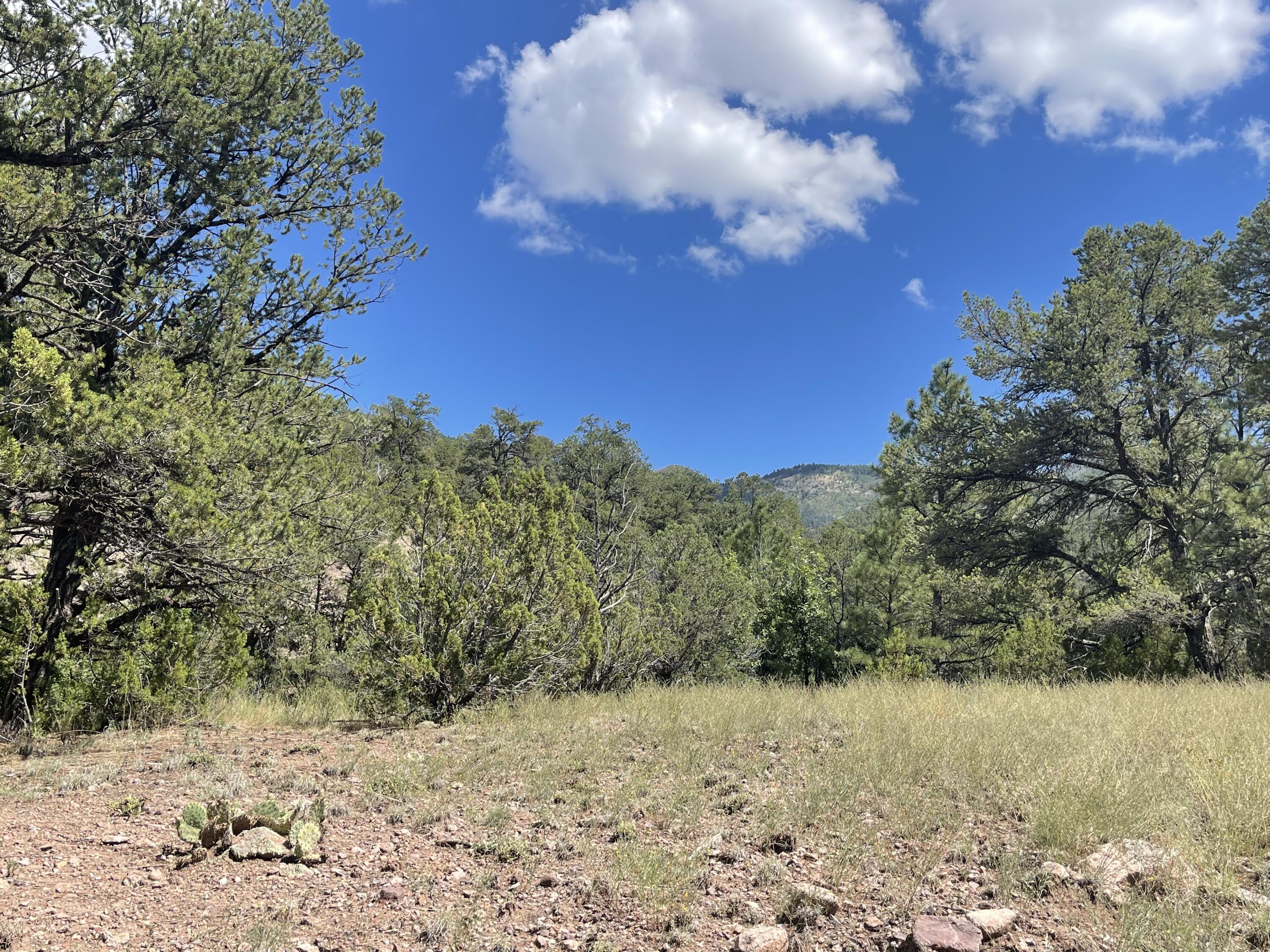 Upper Patterson Canyon