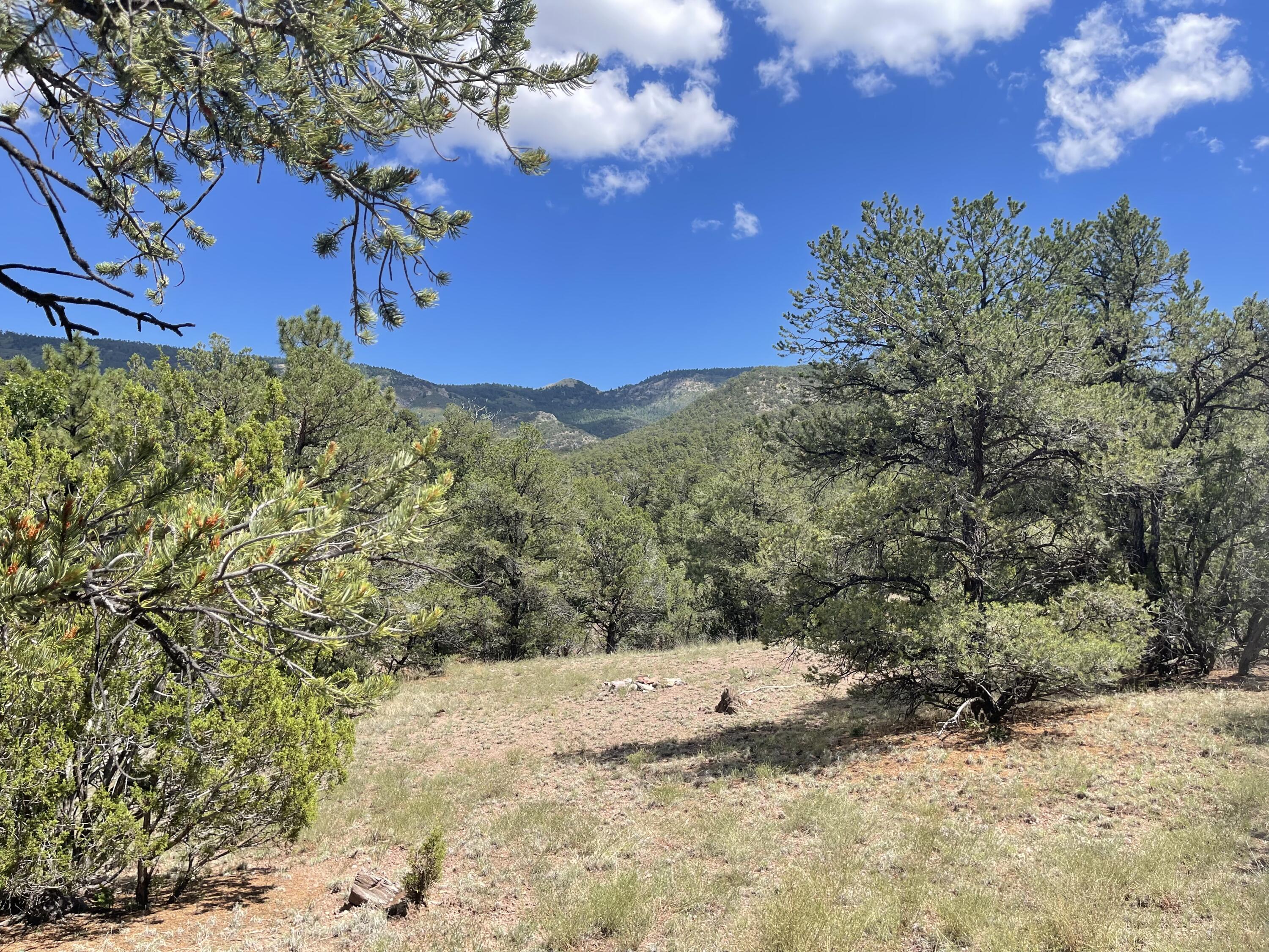 Upper Patterson Canyon