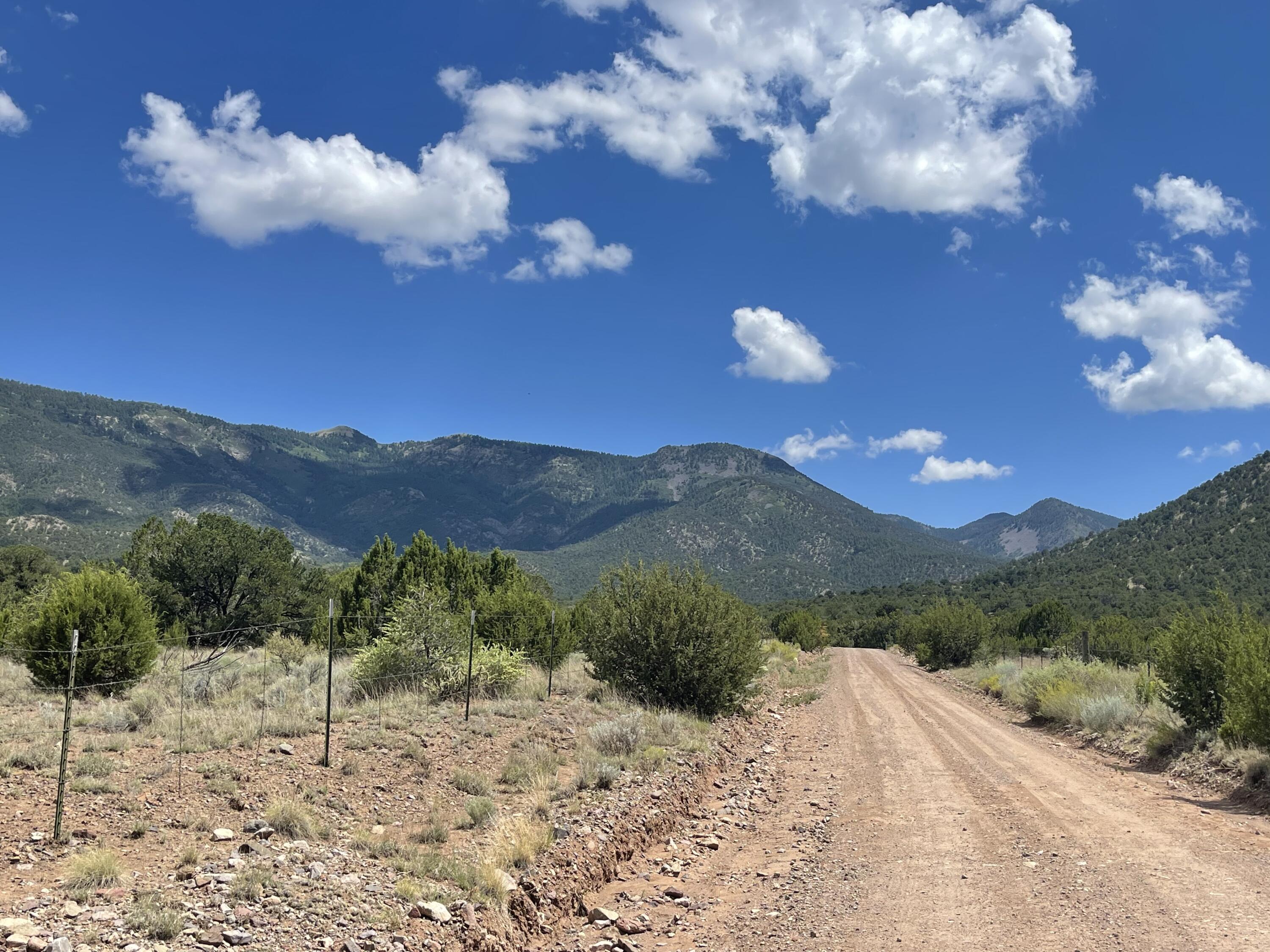 Upper Patterson Canyon