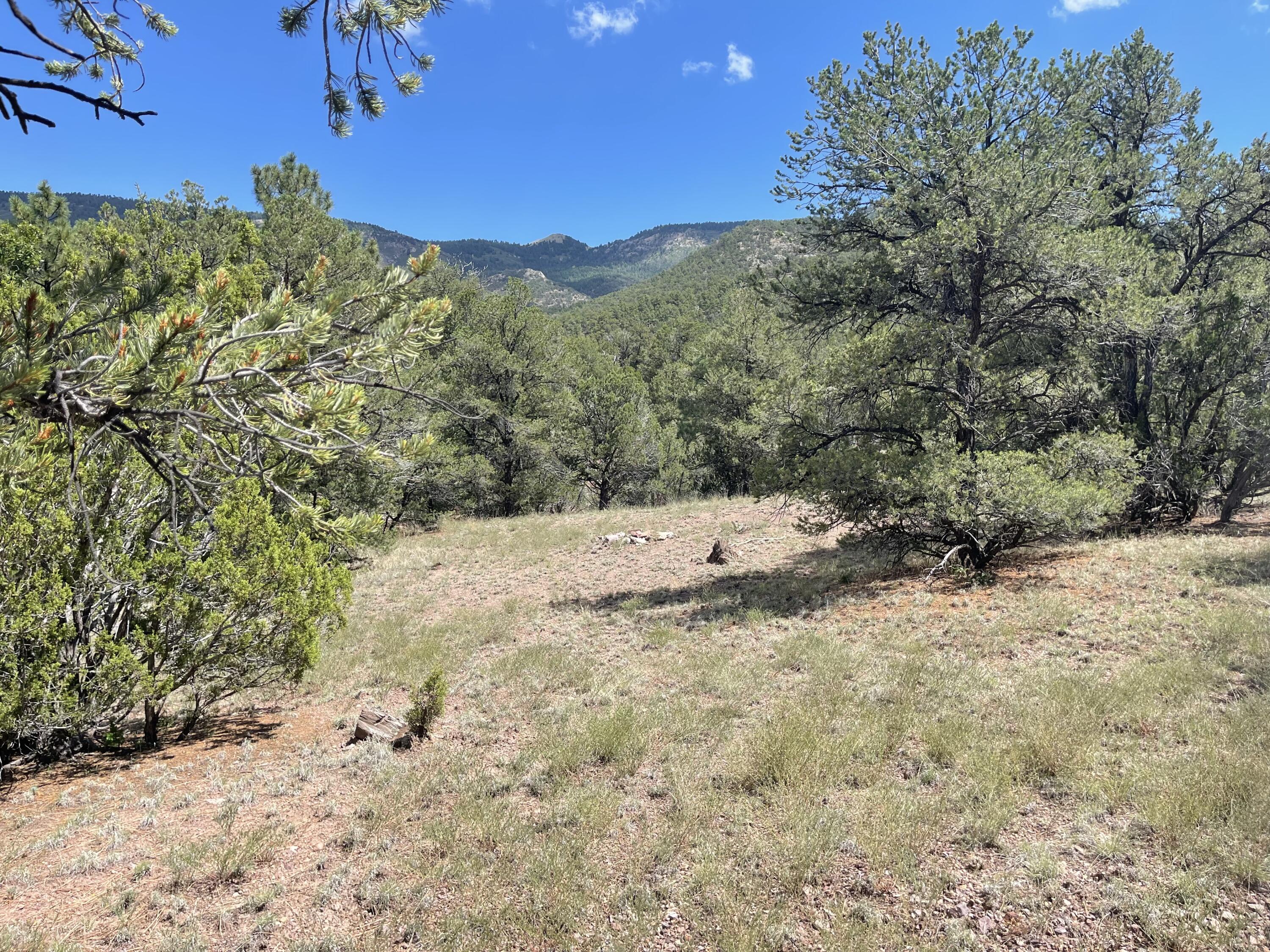 Upper Patterson Canyon