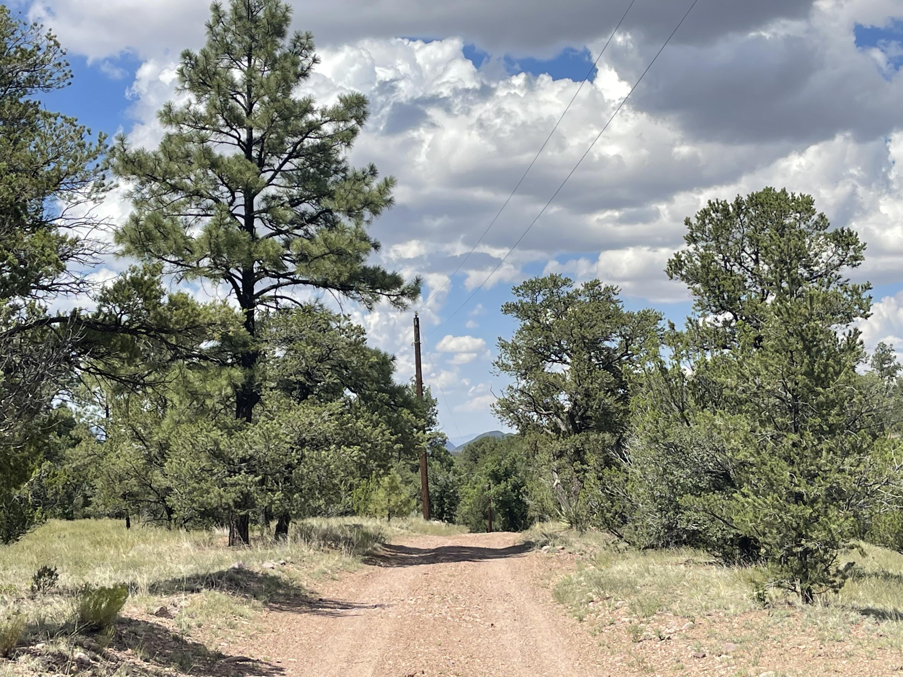 Upper Patterson Canyon