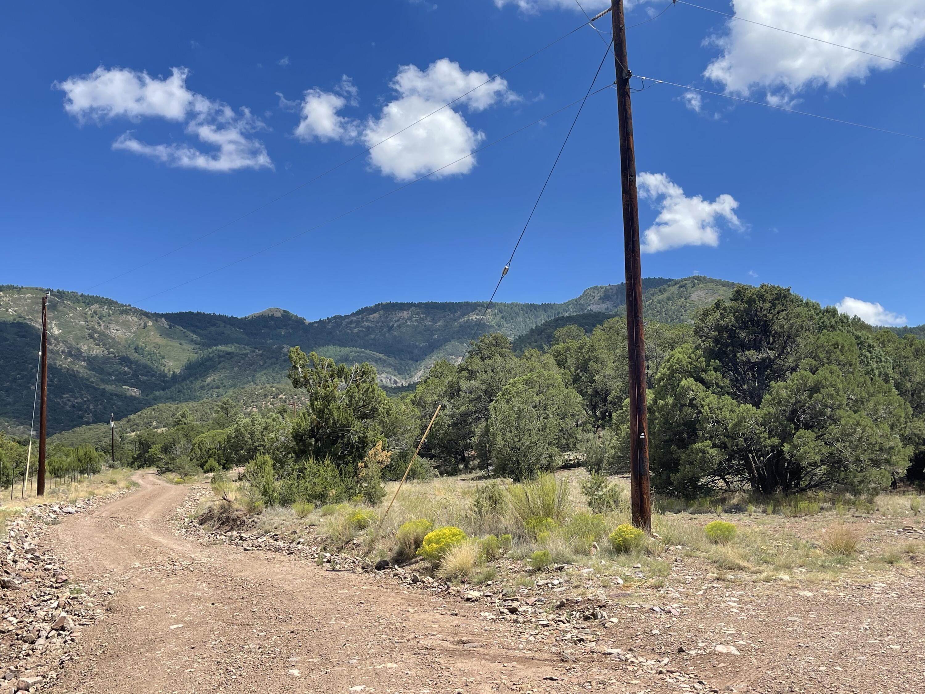 Upper Patterson Canyon
