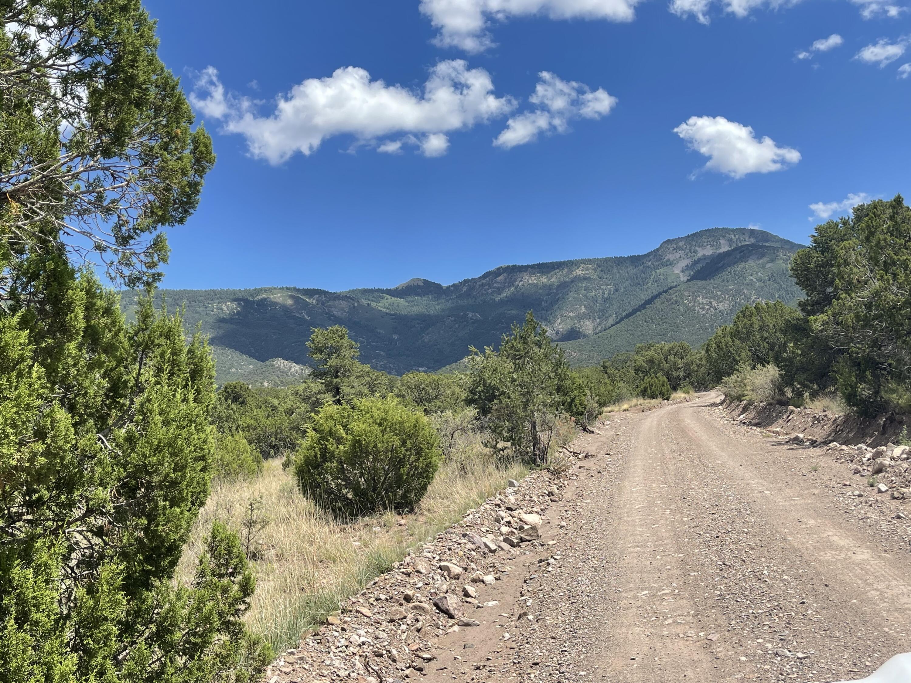 Upper Patterson Canyon