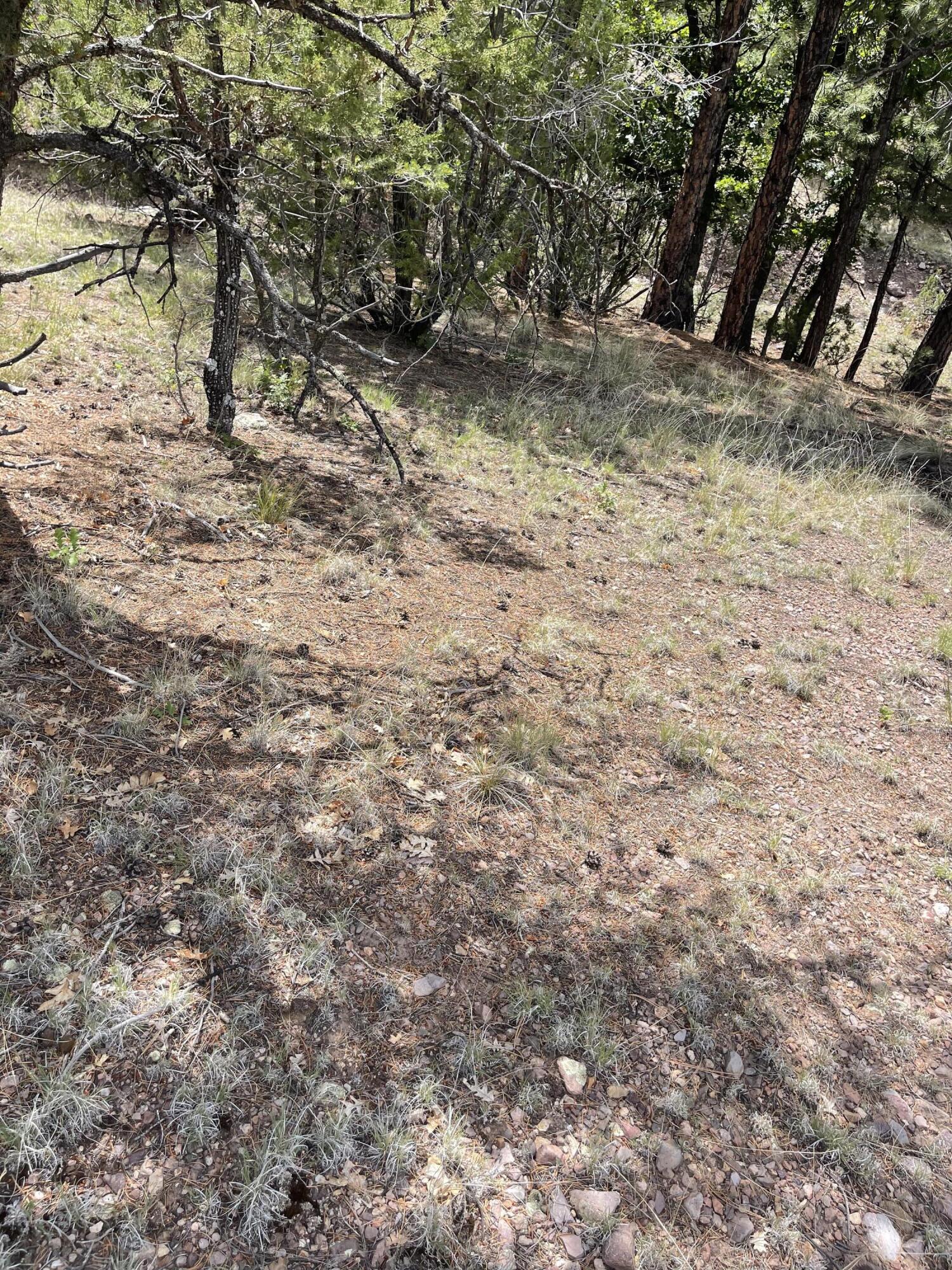 Upper Patterson Canyon