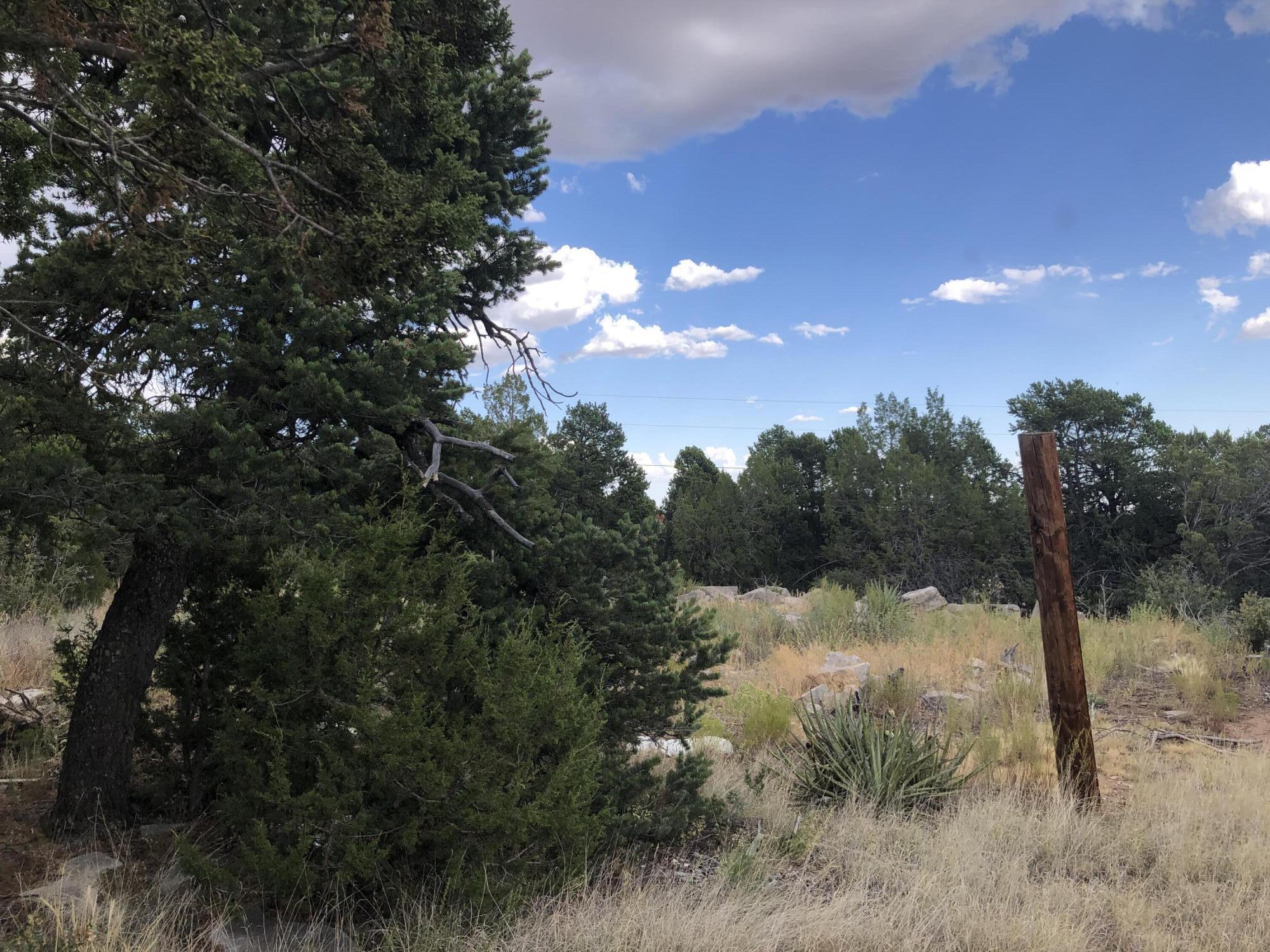 69 Sundance Kid Road