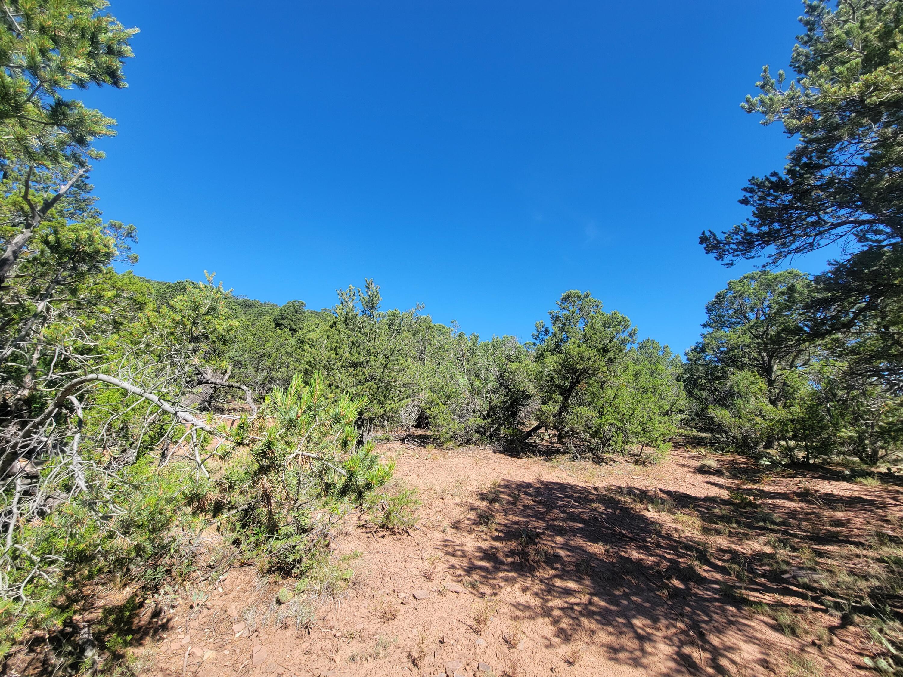 35 Snowline Norte