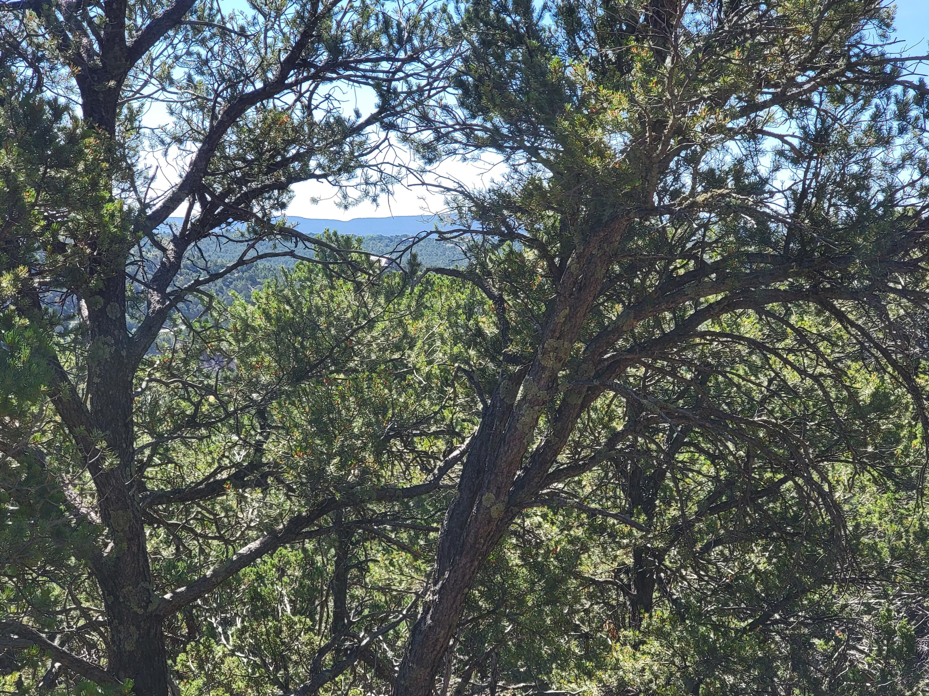 35 Snowline Norte