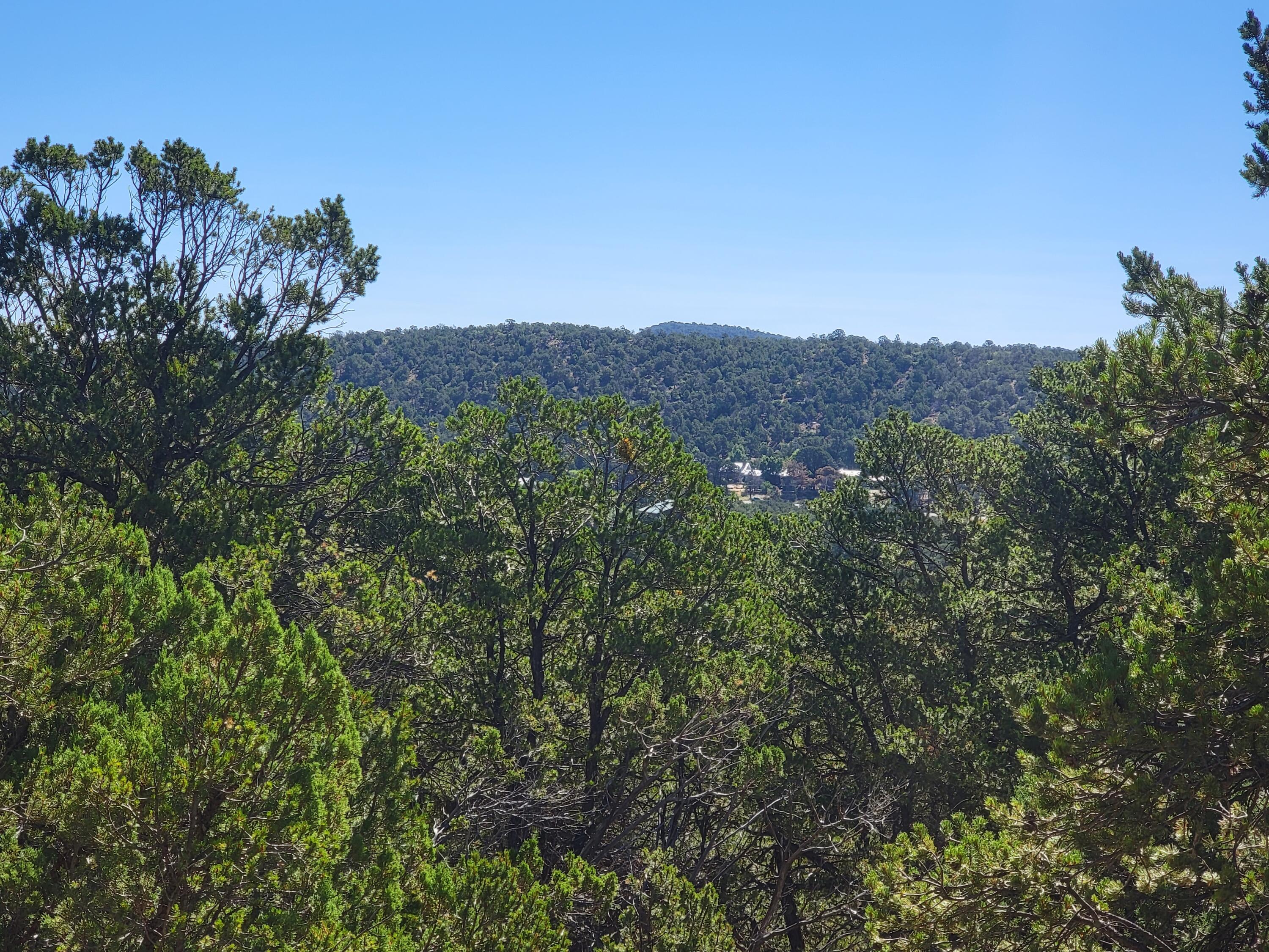 35 Snowline Norte