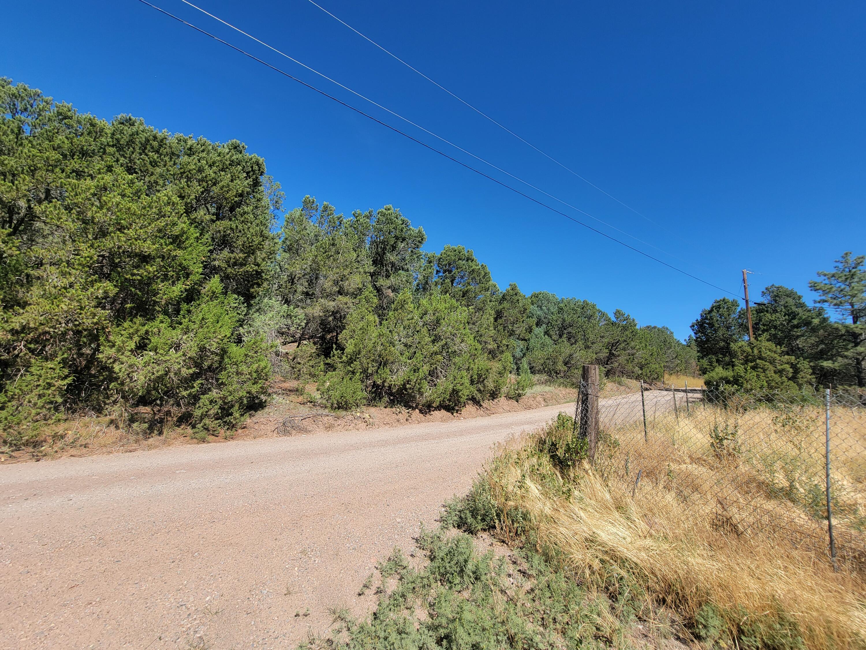 35 Snowline Norte
