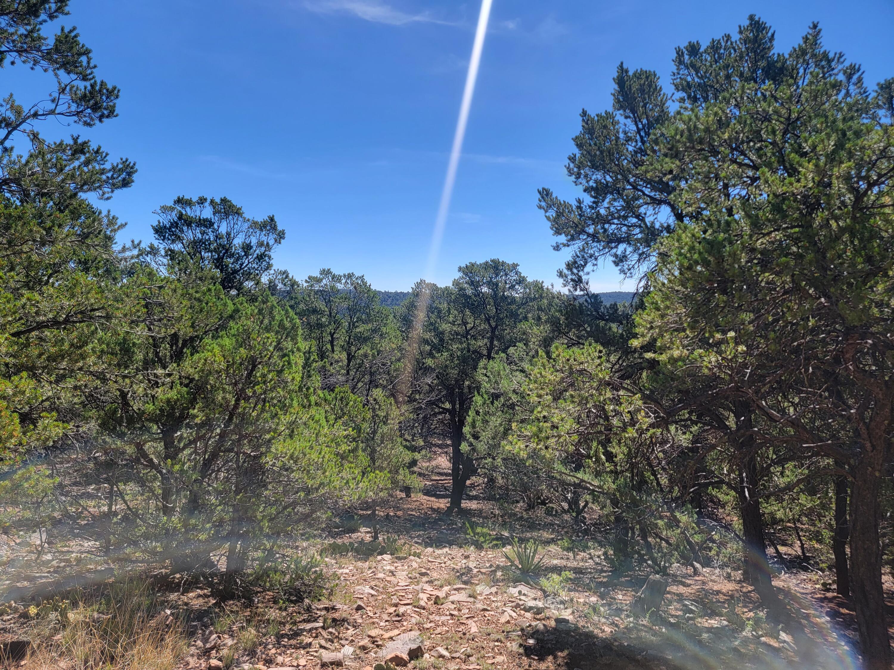 35 Snowline Norte