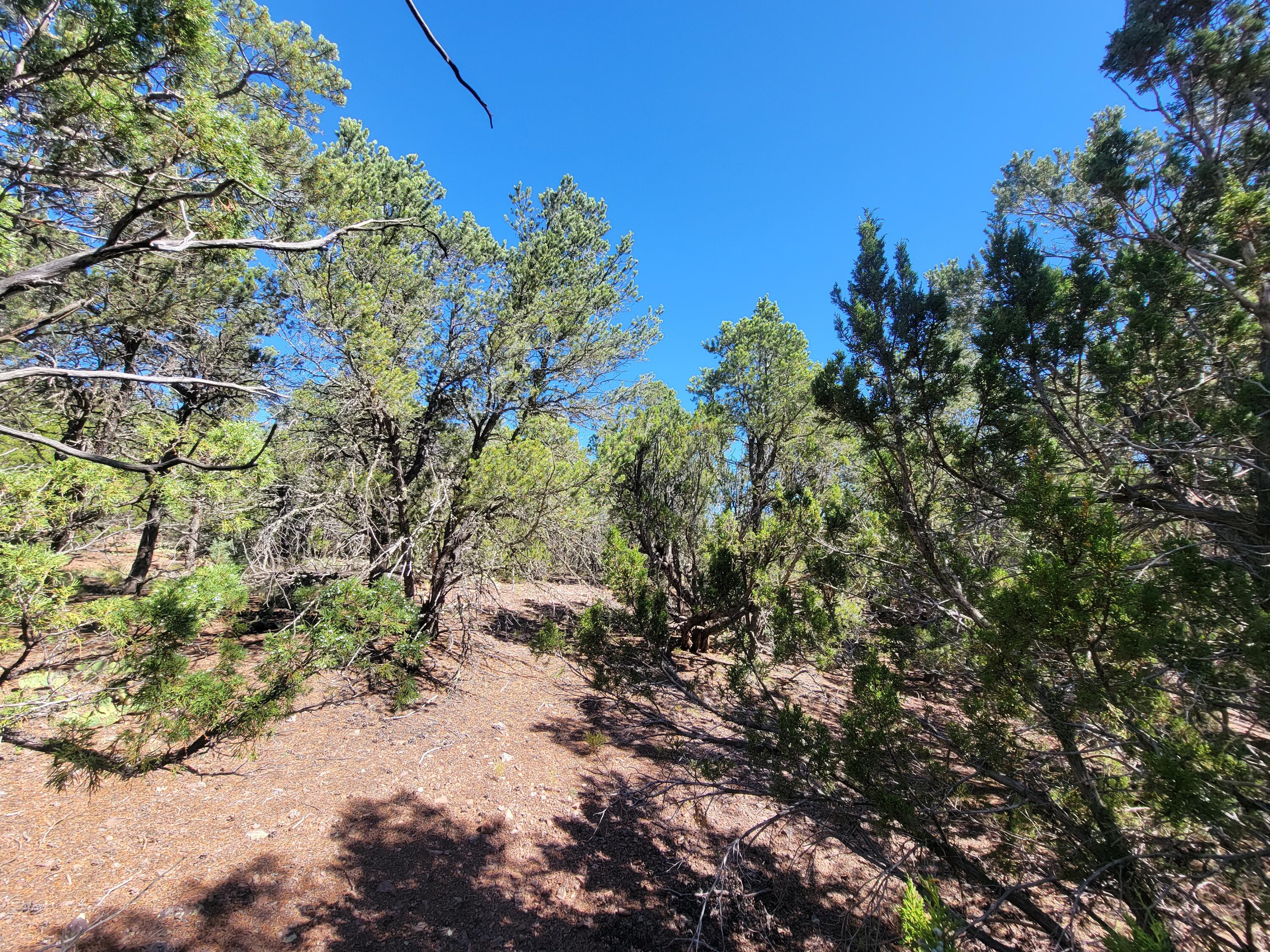 35 Snowline Norte