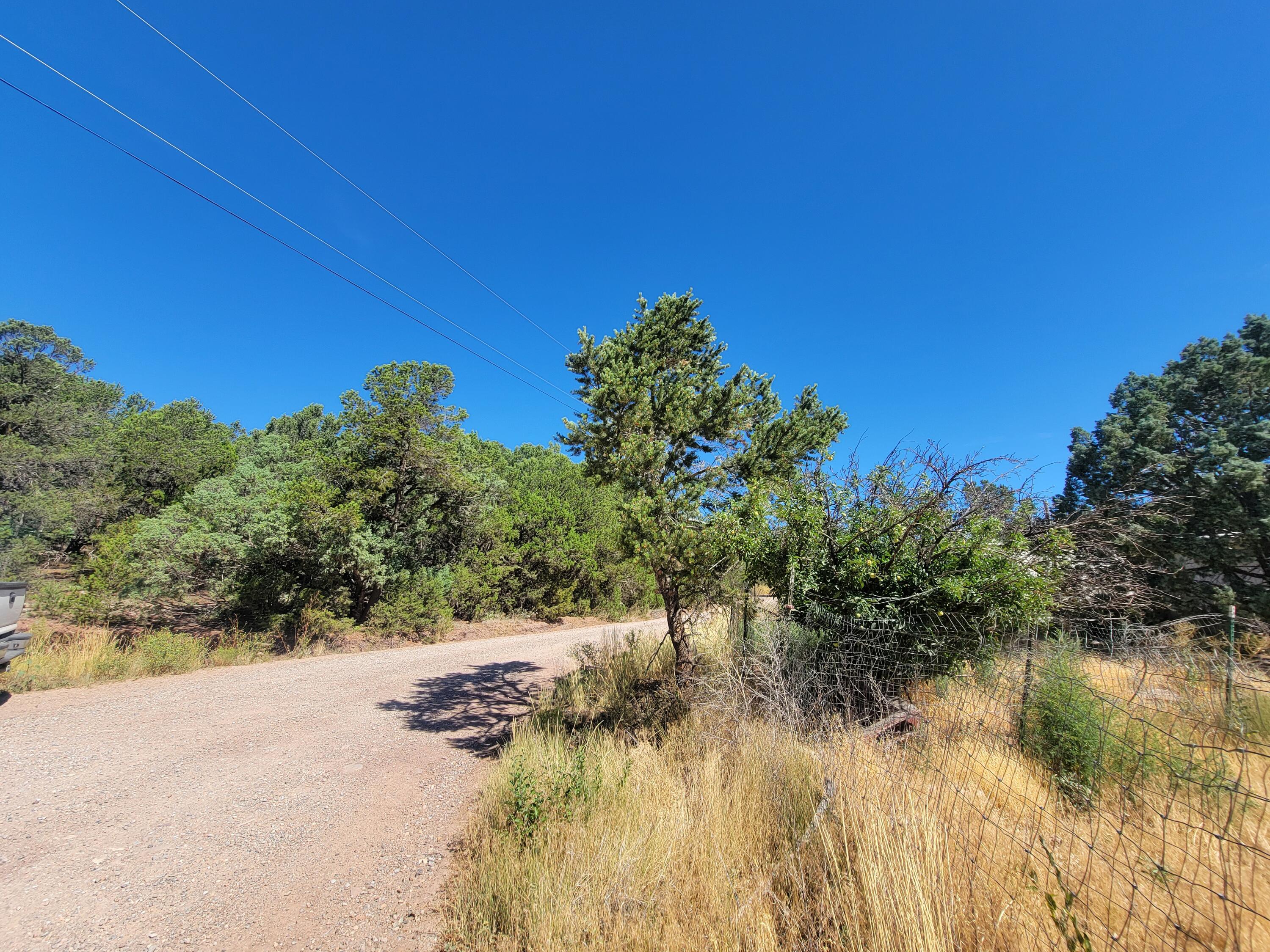 35 Snowline Norte