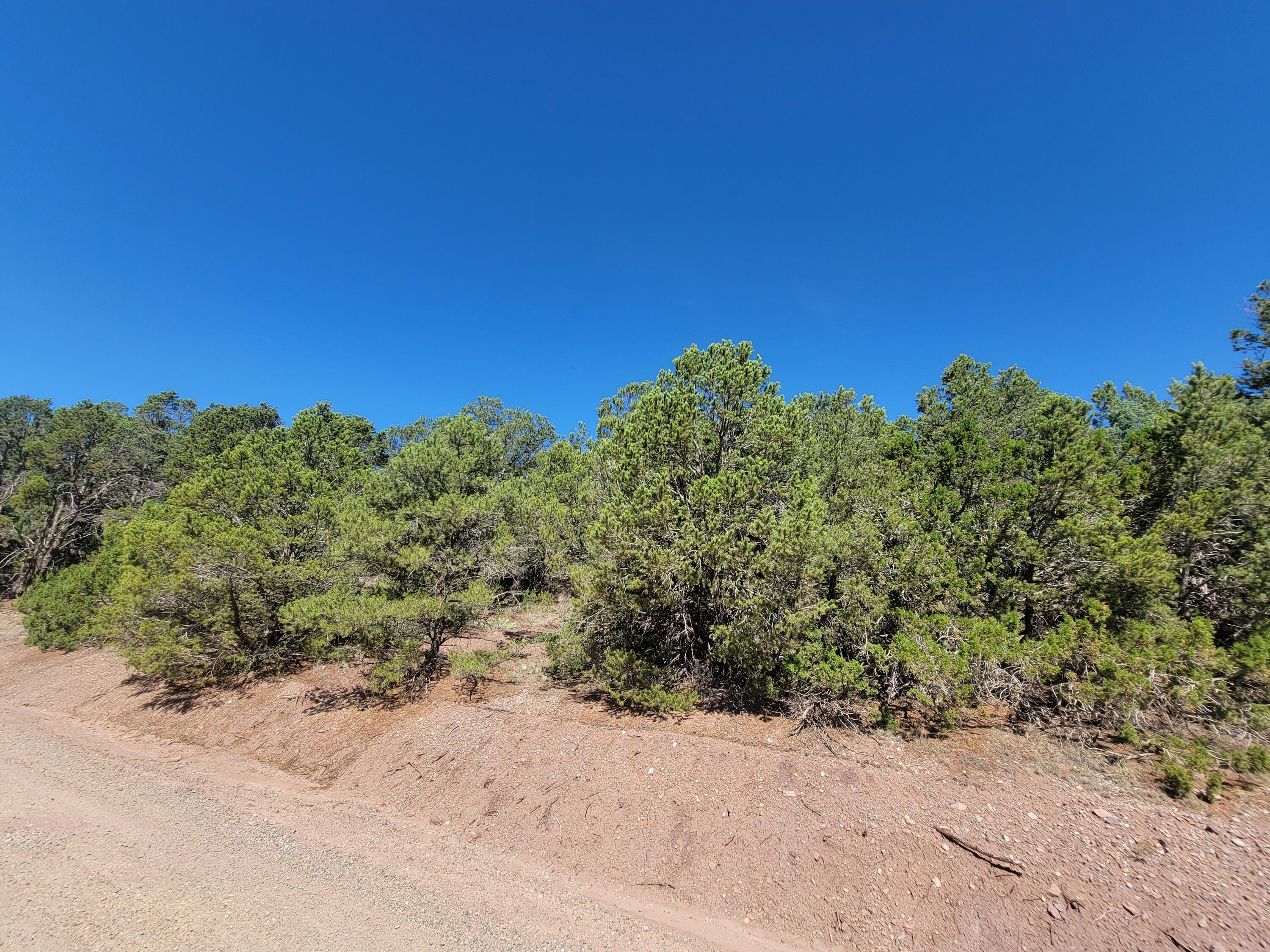 35 Snowline Norte