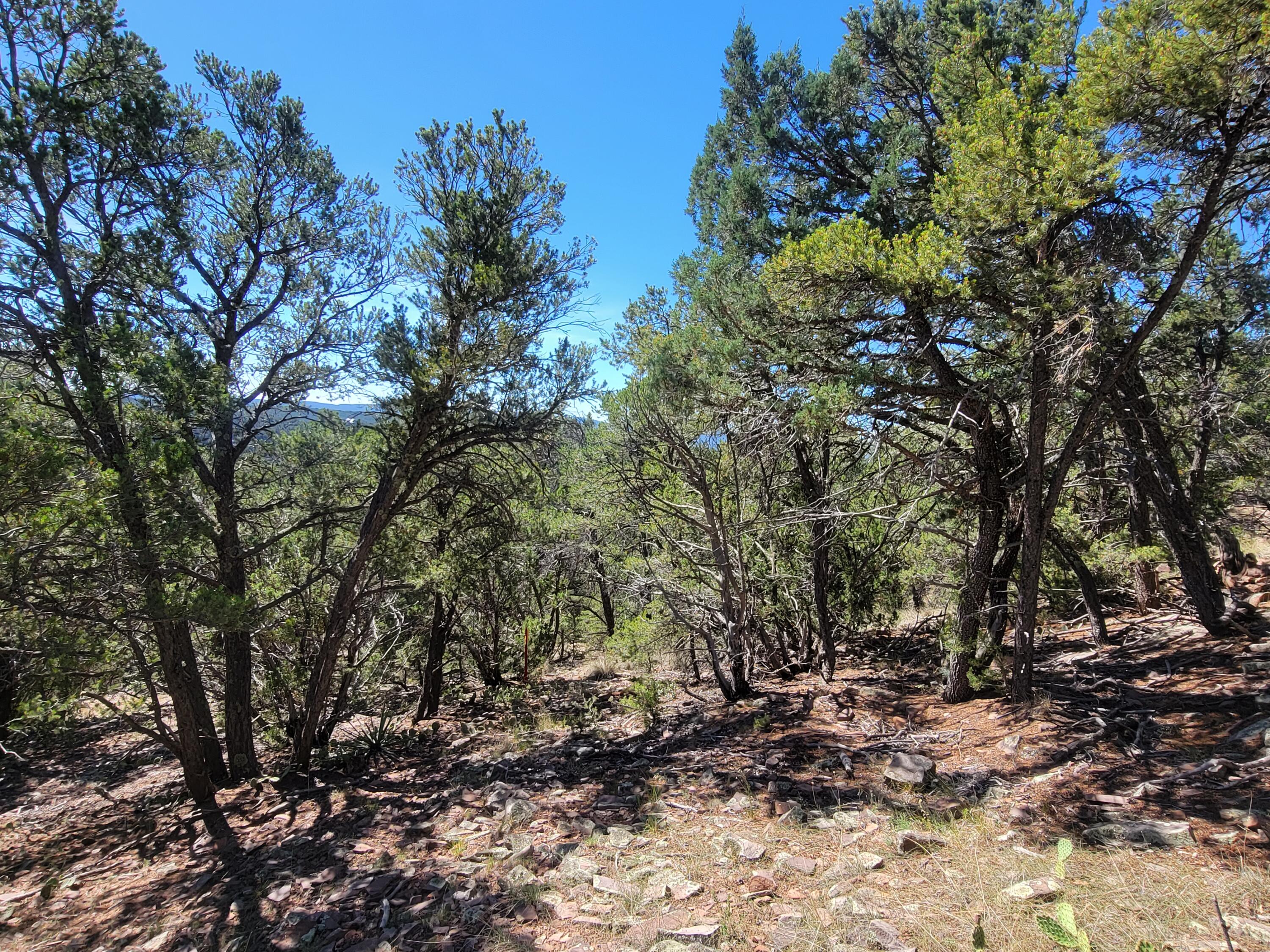 35 Snowline Norte
