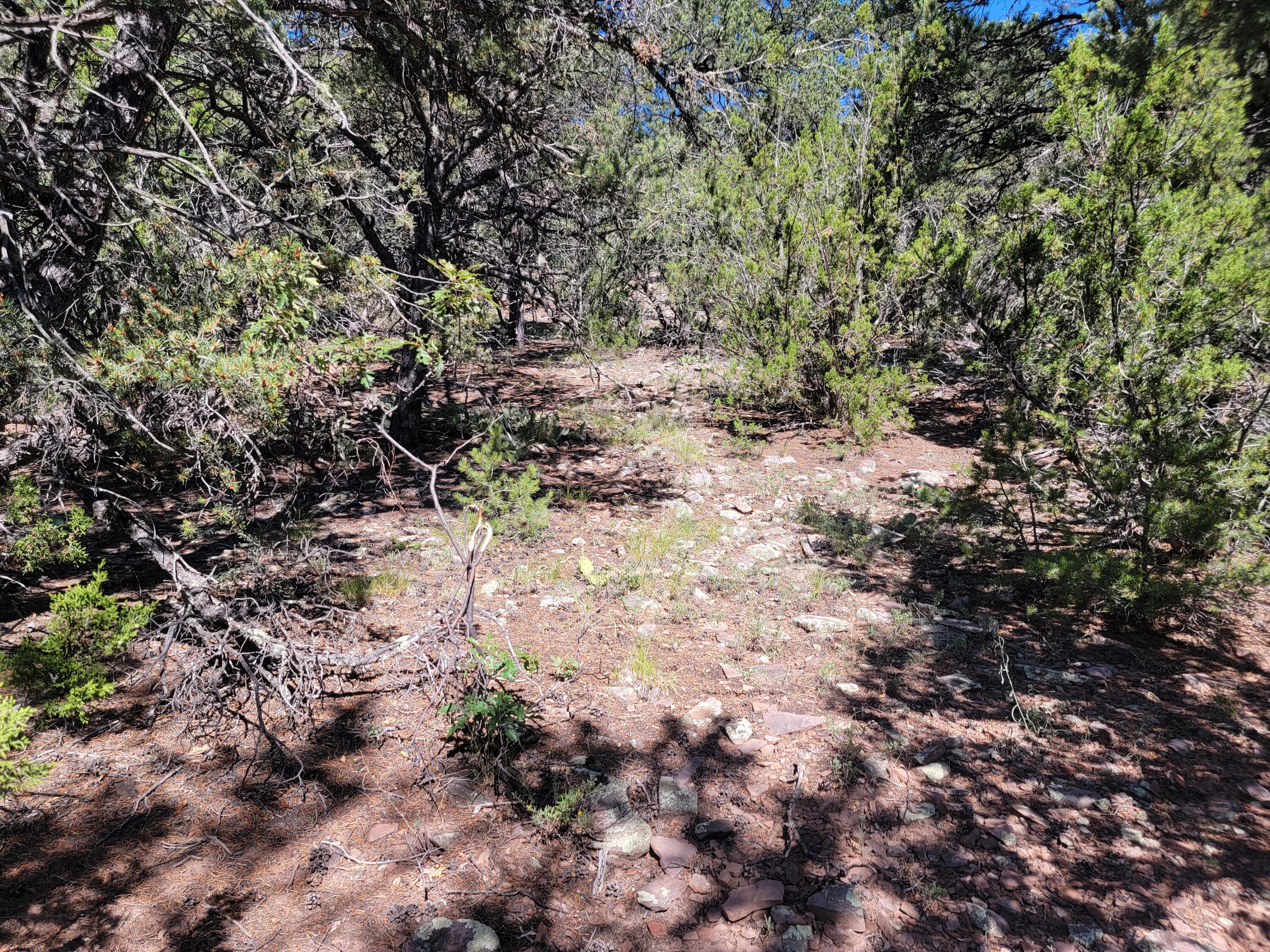 35 Snowline Norte