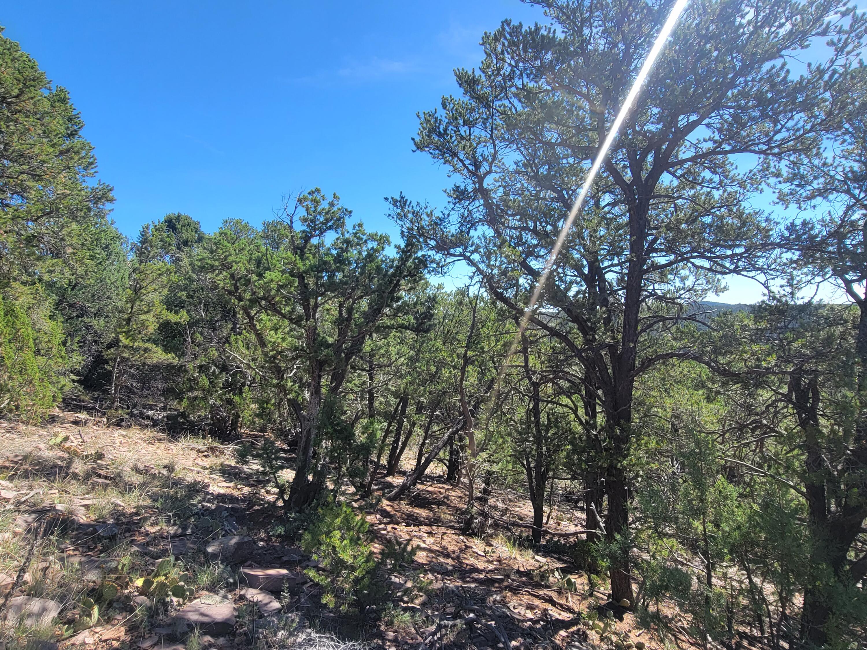 35 Snowline Norte