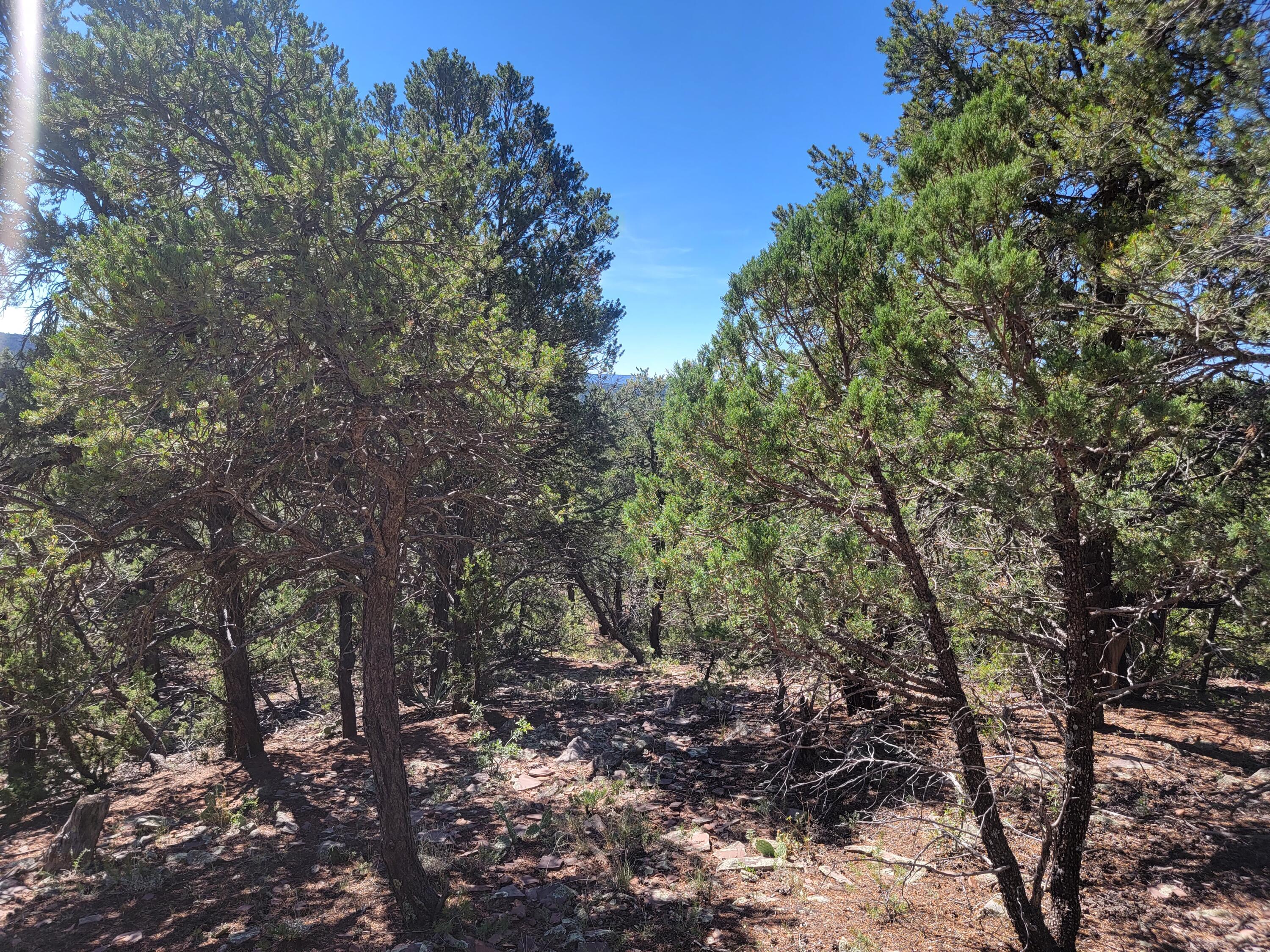 35 Snowline Norte