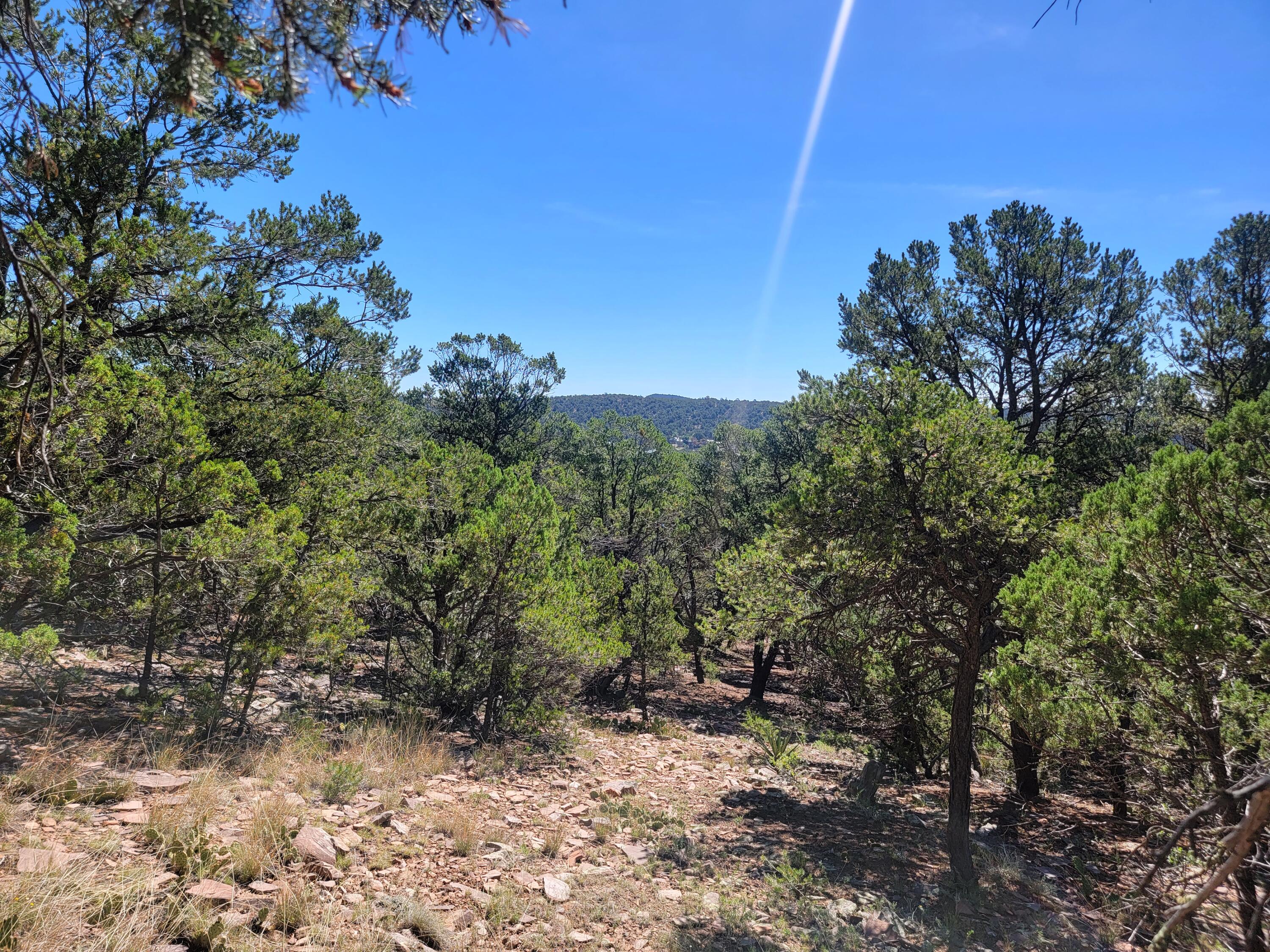 35 Snowline Norte