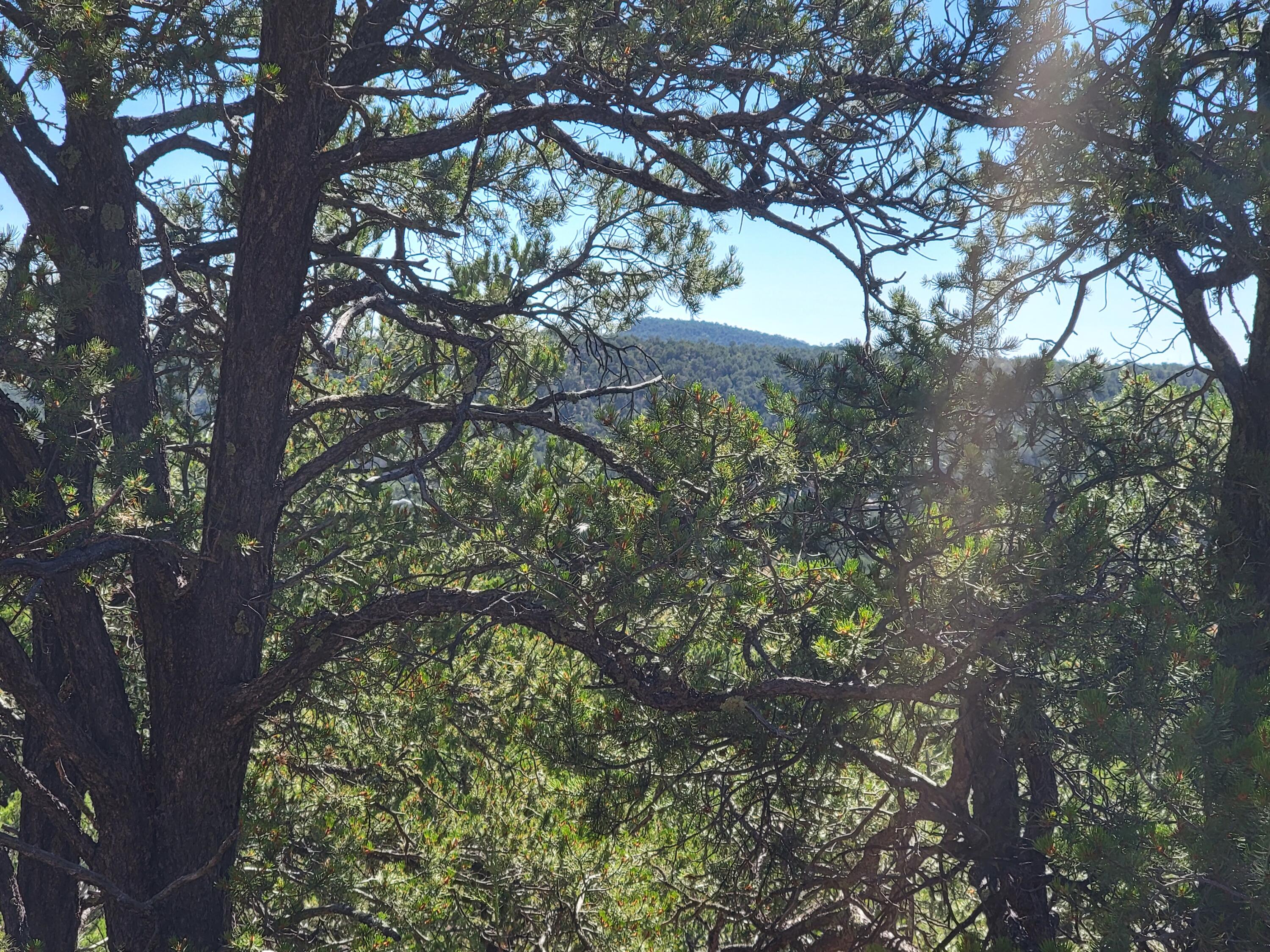 35 Snowline Norte