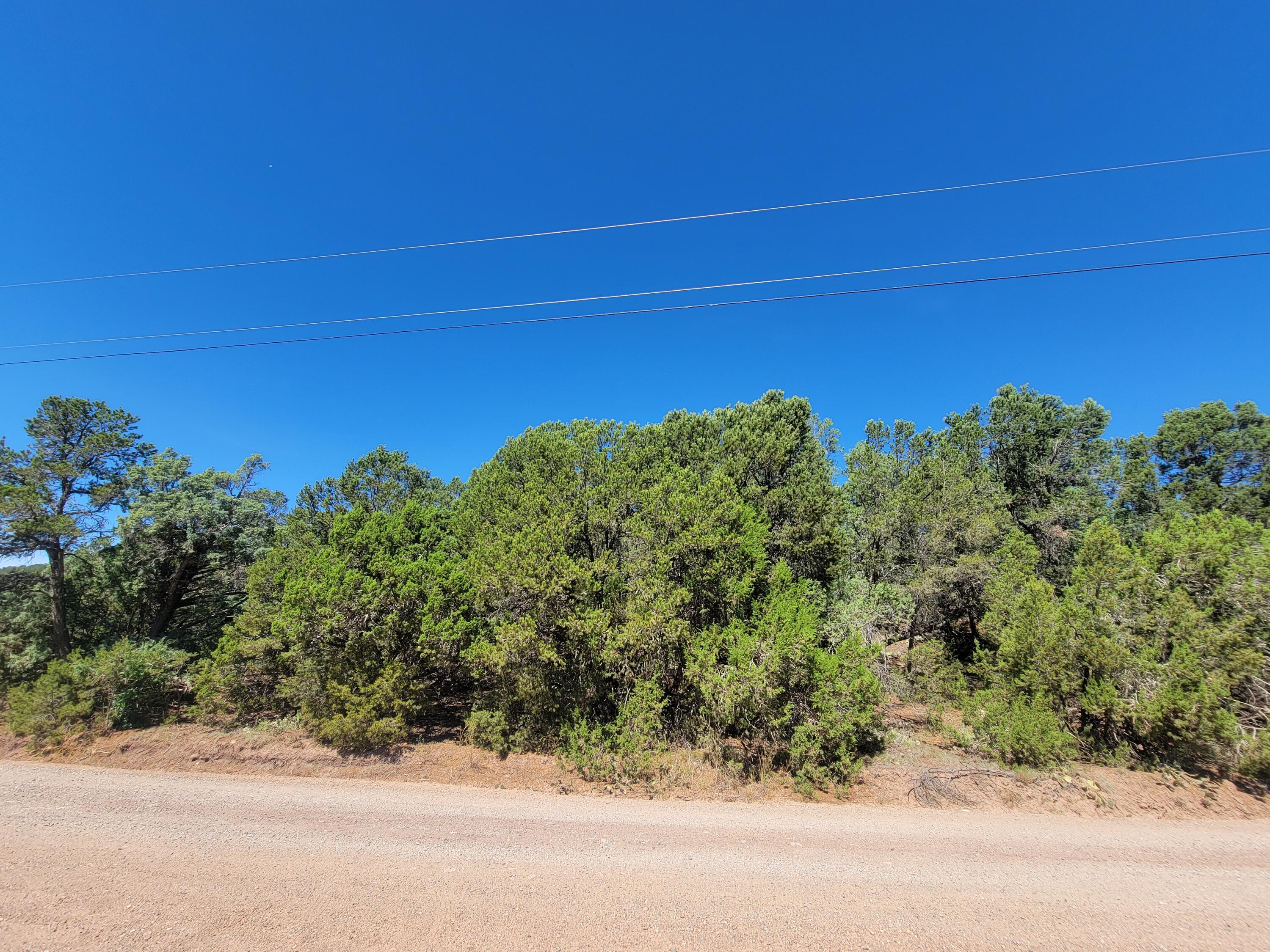 35 Snowline Norte