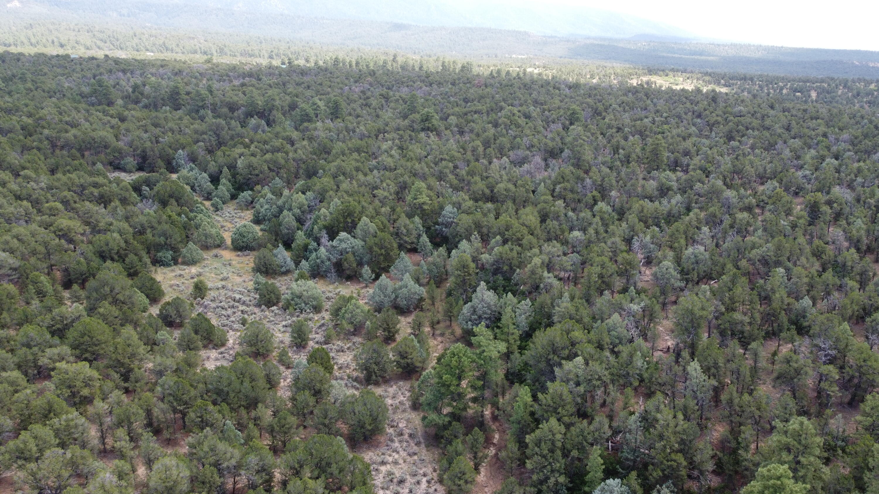 Tbd Naranjo Creek Road